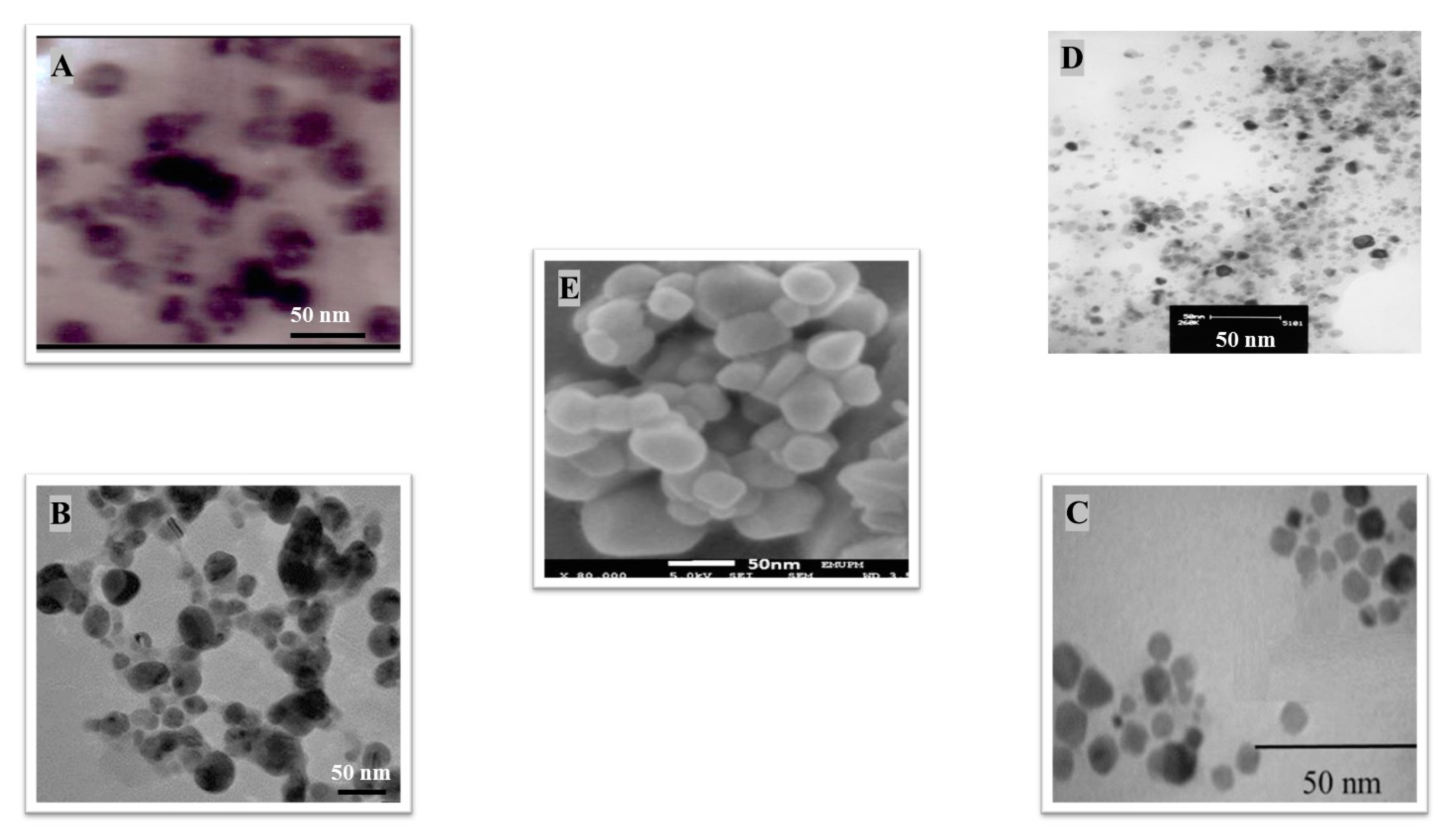 Bioengineering 07 00129 g002 Bioengineering 07 00129 g002
