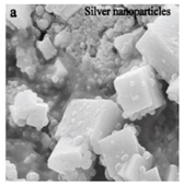 Bioengineering 07 00129 i006 Bioengineering 07 00129 i006