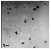 Bioengineering 07 00129 i008 Bioengineering 07 00129 i008