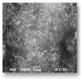 Bioengineering 07 00129 i014 Bioengineering 07 00129 i014