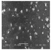 Bioengineering 07 00129 i016 Bioengineering 07 00129 i016