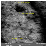 Bioengineering 07 00129 i018 Bioengineering 07 00129 i018
