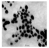 Bioengineering 07 00129 i020 Bioengineering 07 00129 i020