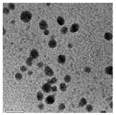 Bioengineering 07 00129 i024 Bioengineering 07 00129 i024