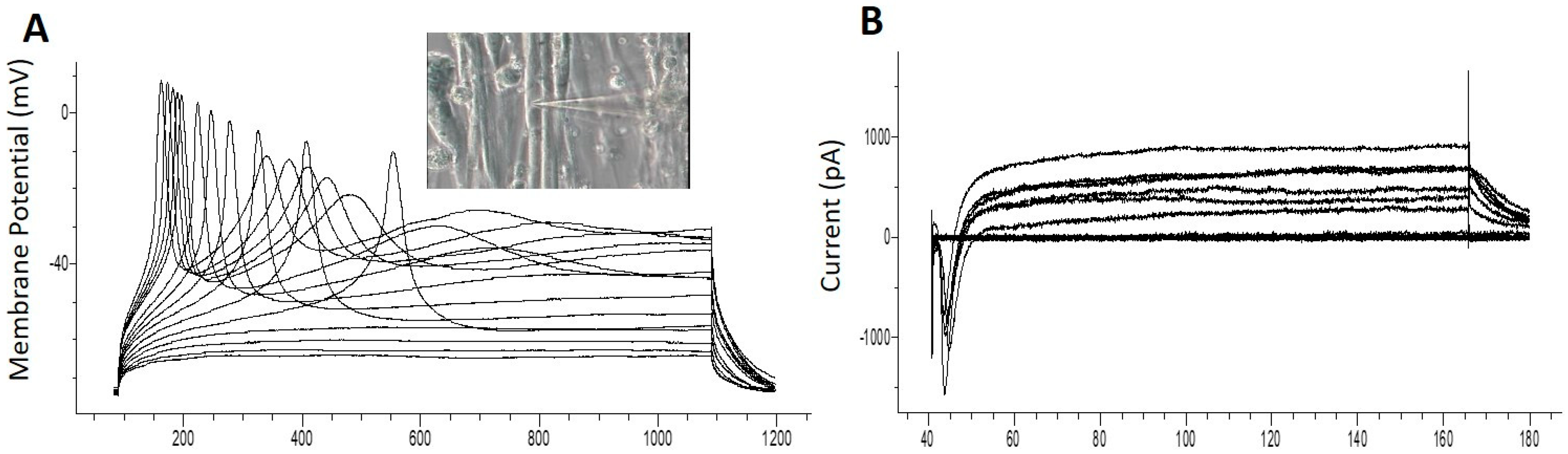 Bioengineering 07 00133 g005