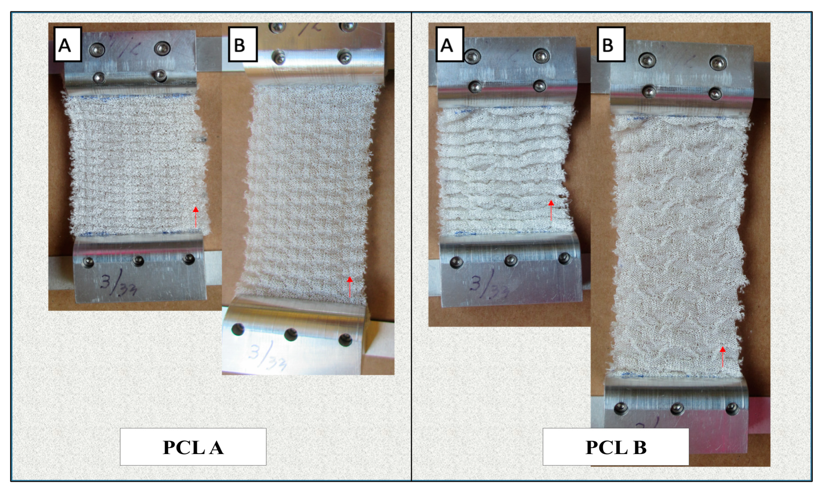 Bioengineering 07 00134 g005