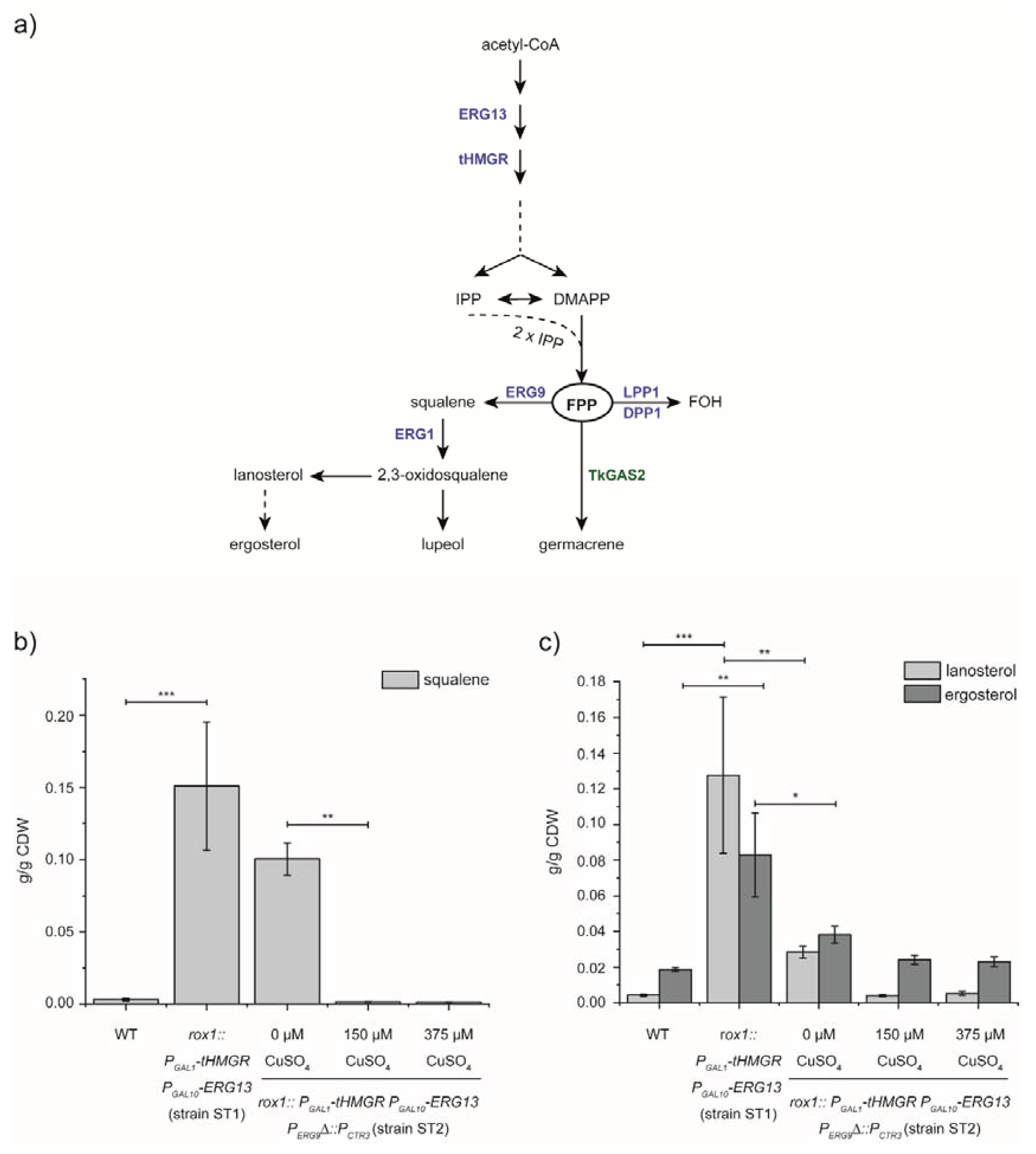 Bioengineering 07 00135 g001 Bioengineering 07 00135 g001