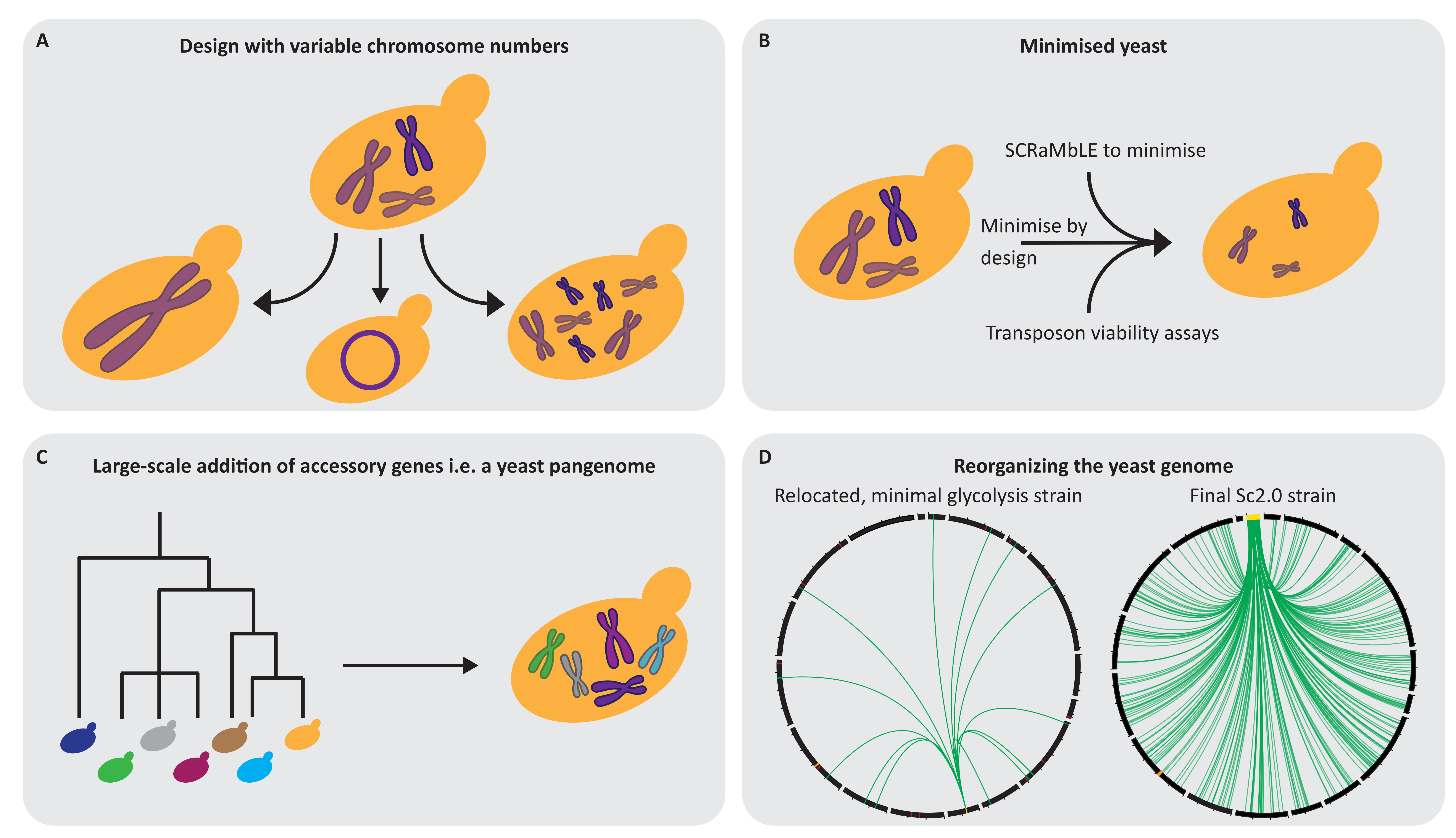 Exosomal Components and Modulators in Colorectal Cancer