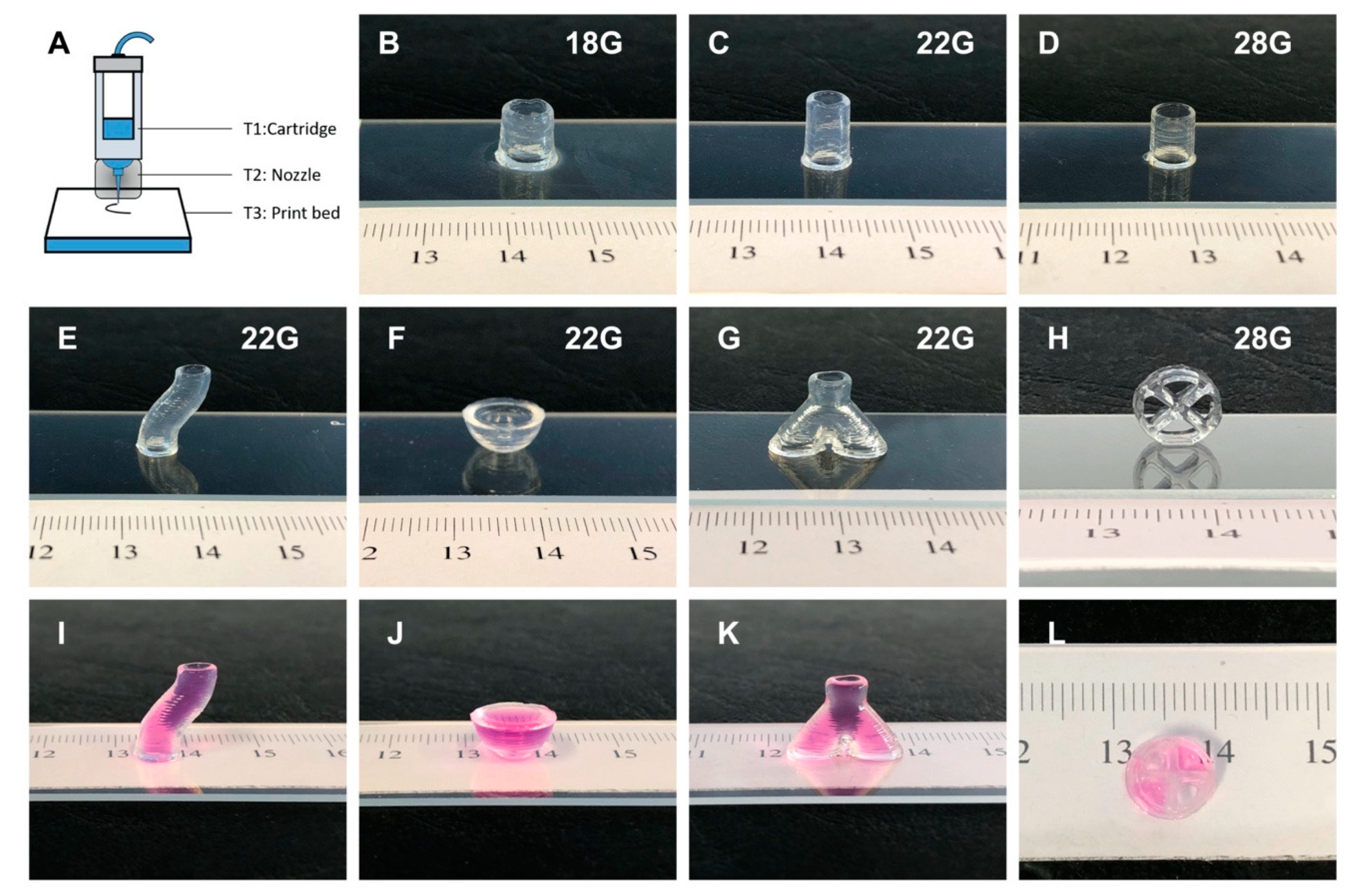 Bioengineering 07 00141 g002