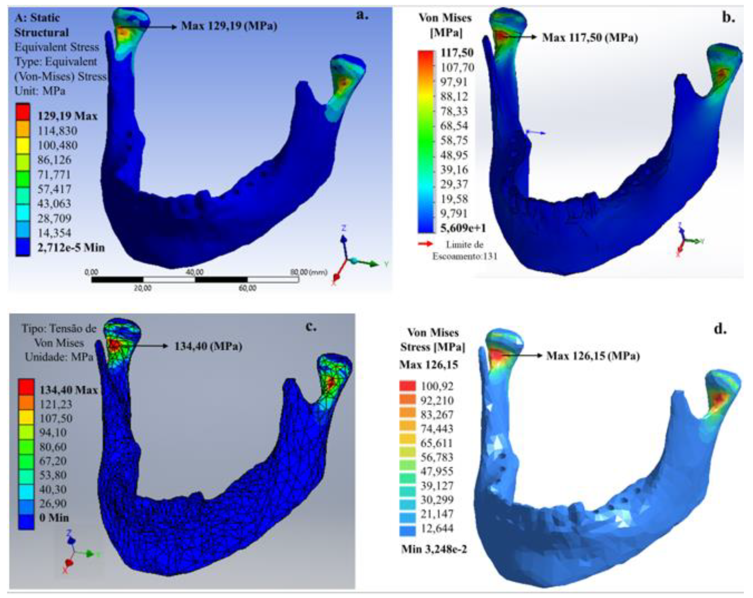 Bioengineering 07 00142 g004