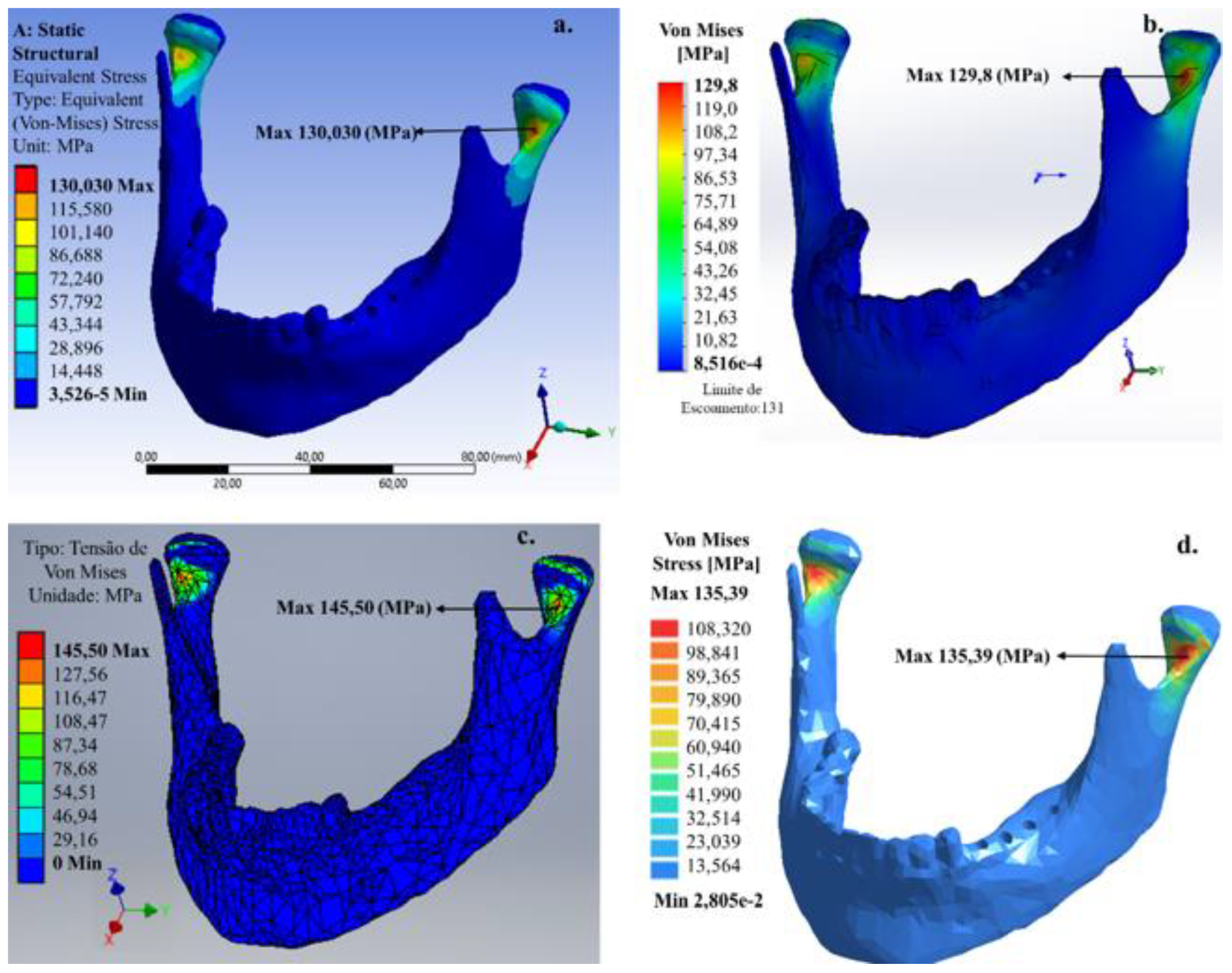 Bioengineering 07 00142 g005