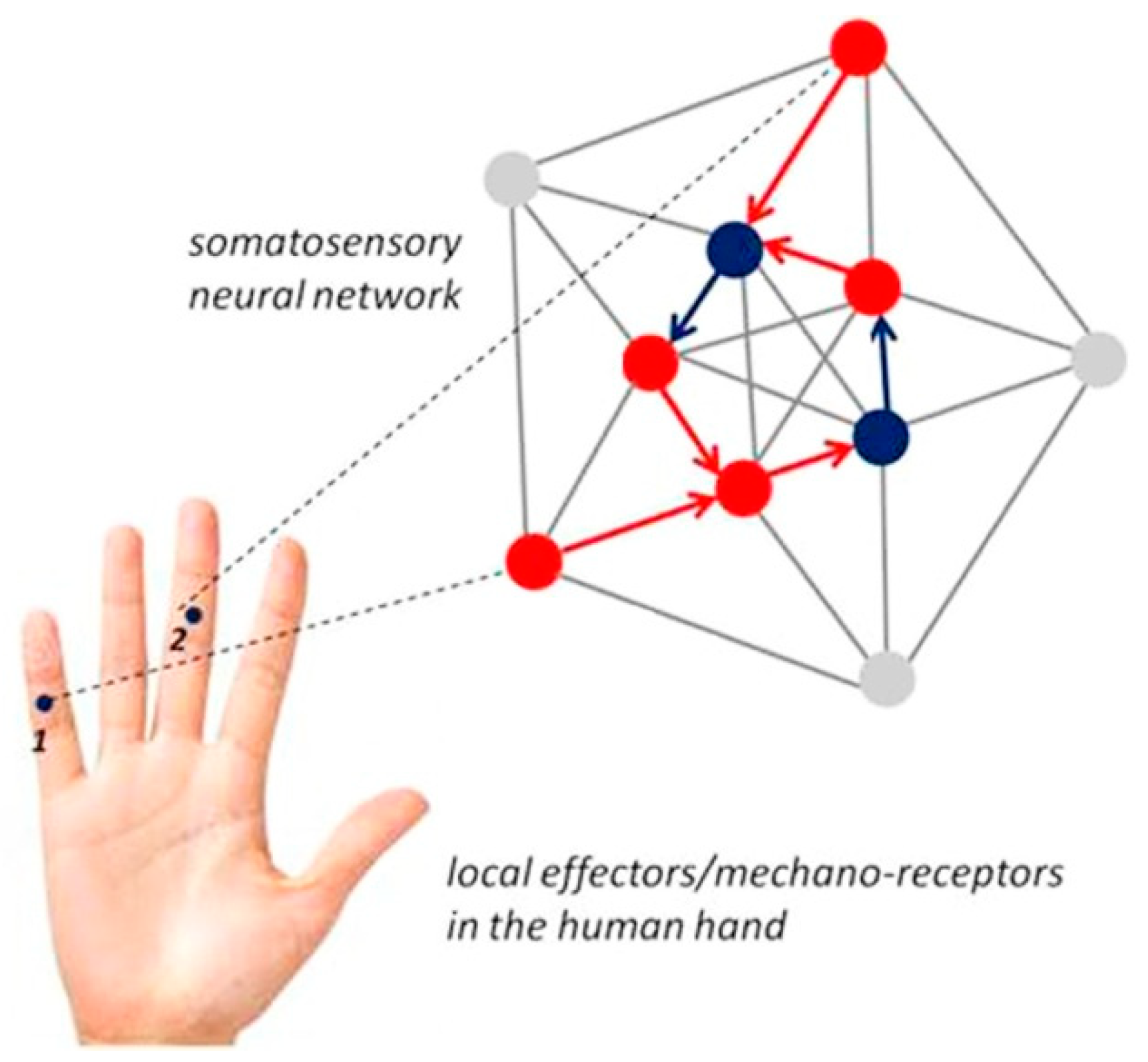 Bioengineering 07 00143 g001