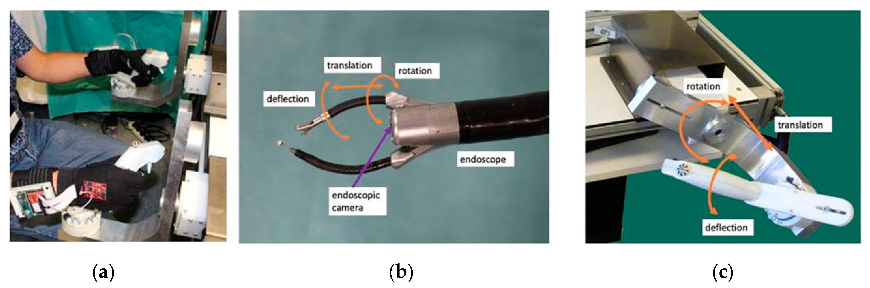 Bioengineering 07 00143 g002
