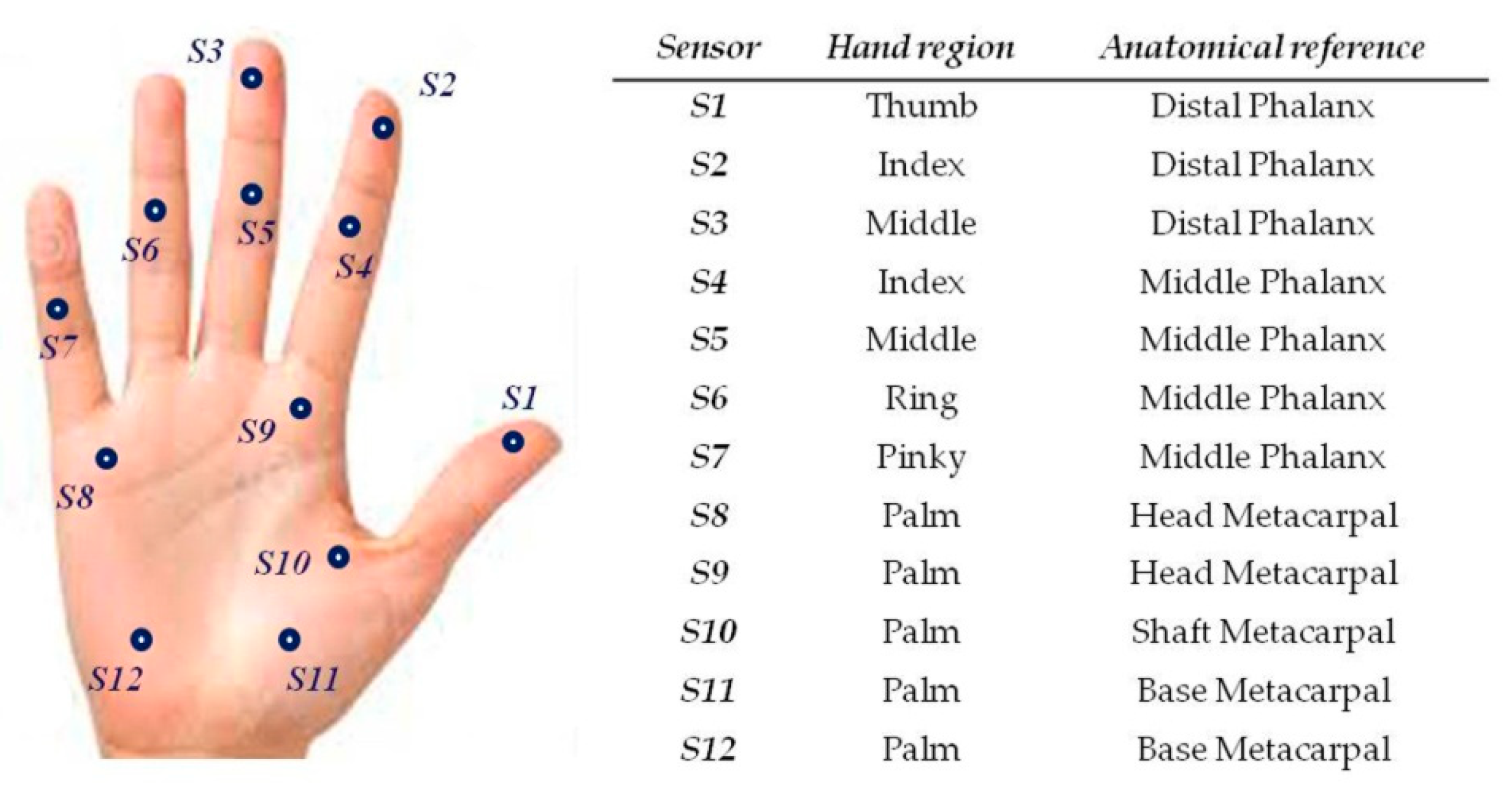 Bioengineering 07 00143 g003
