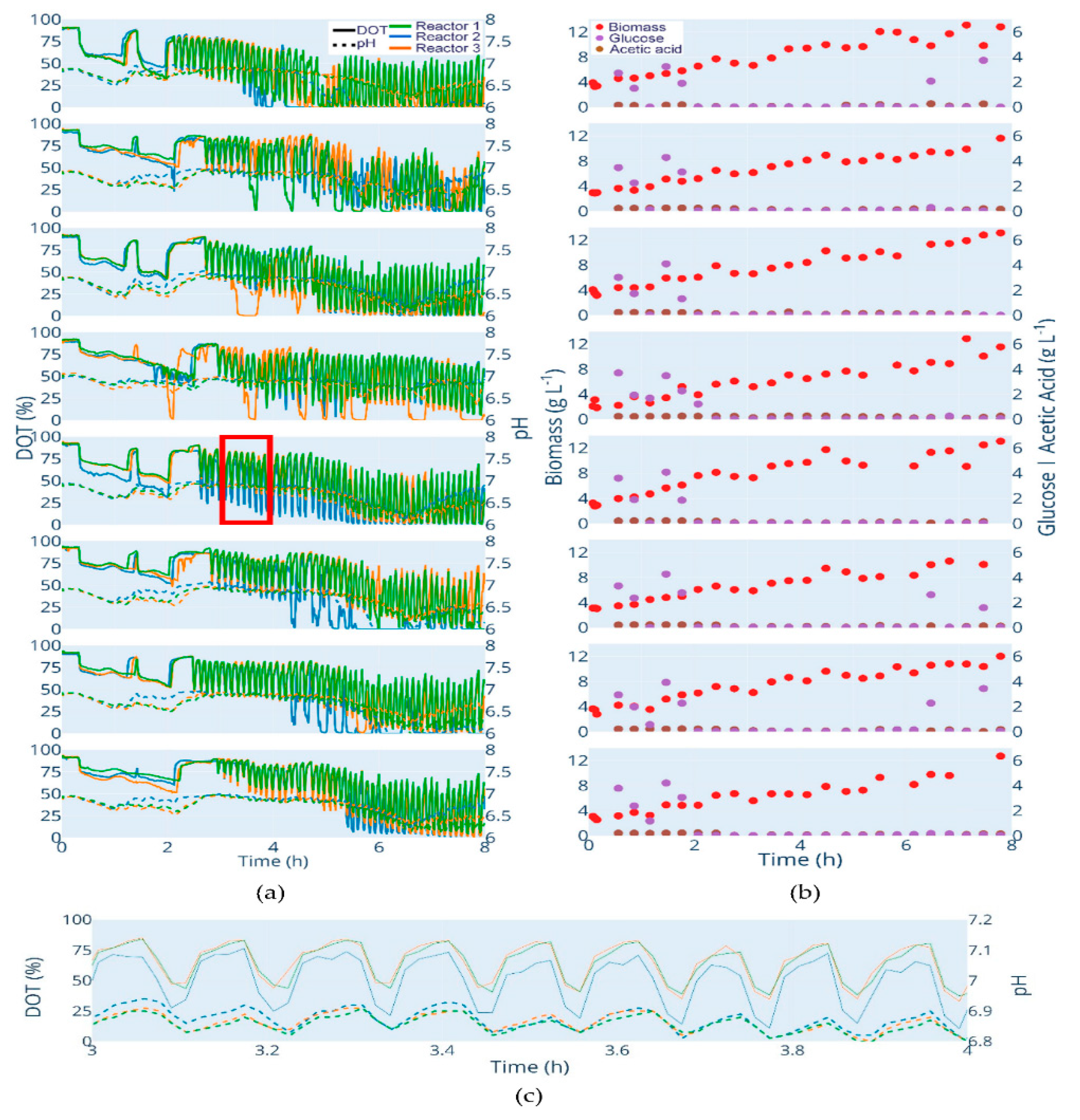 Bioengineering 07 00145 g003