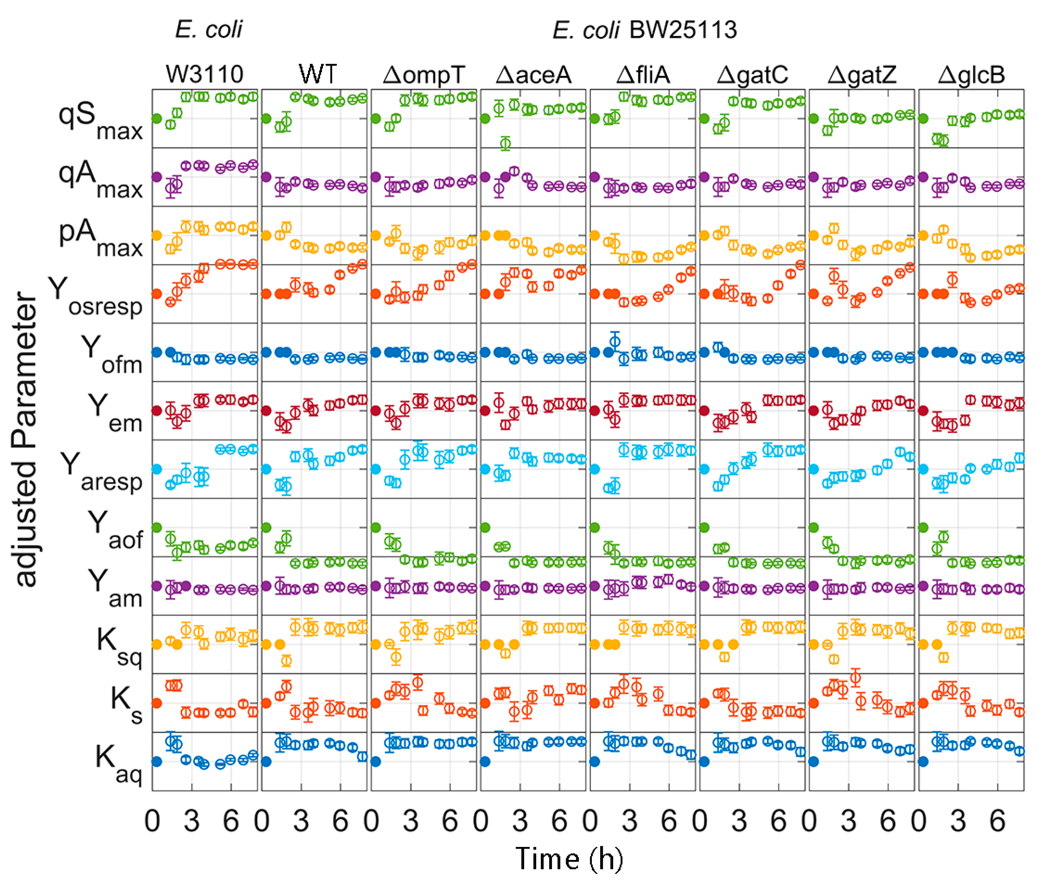 Bioengineering 07 00145 g007