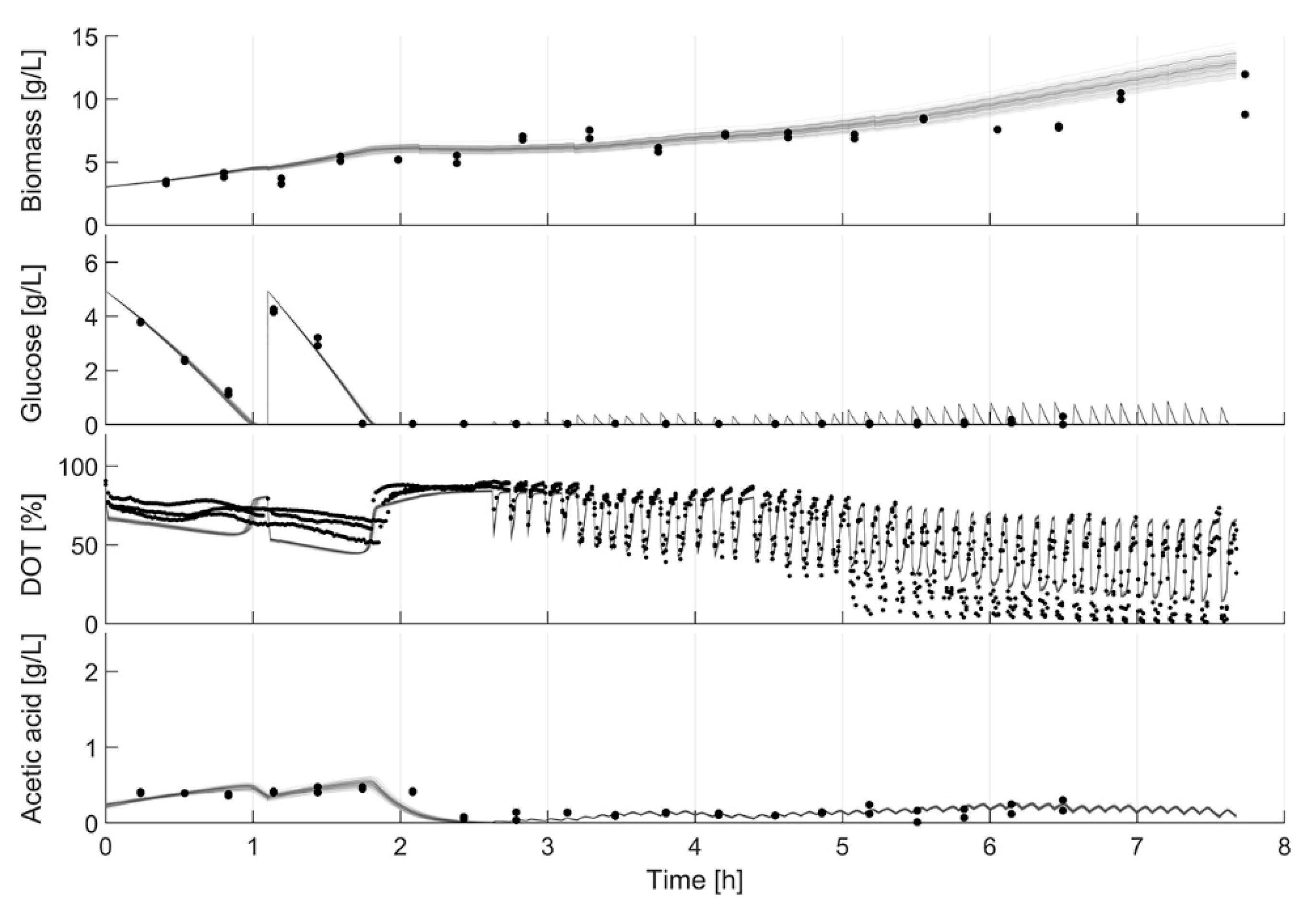 Bioengineering 07 00145 g010