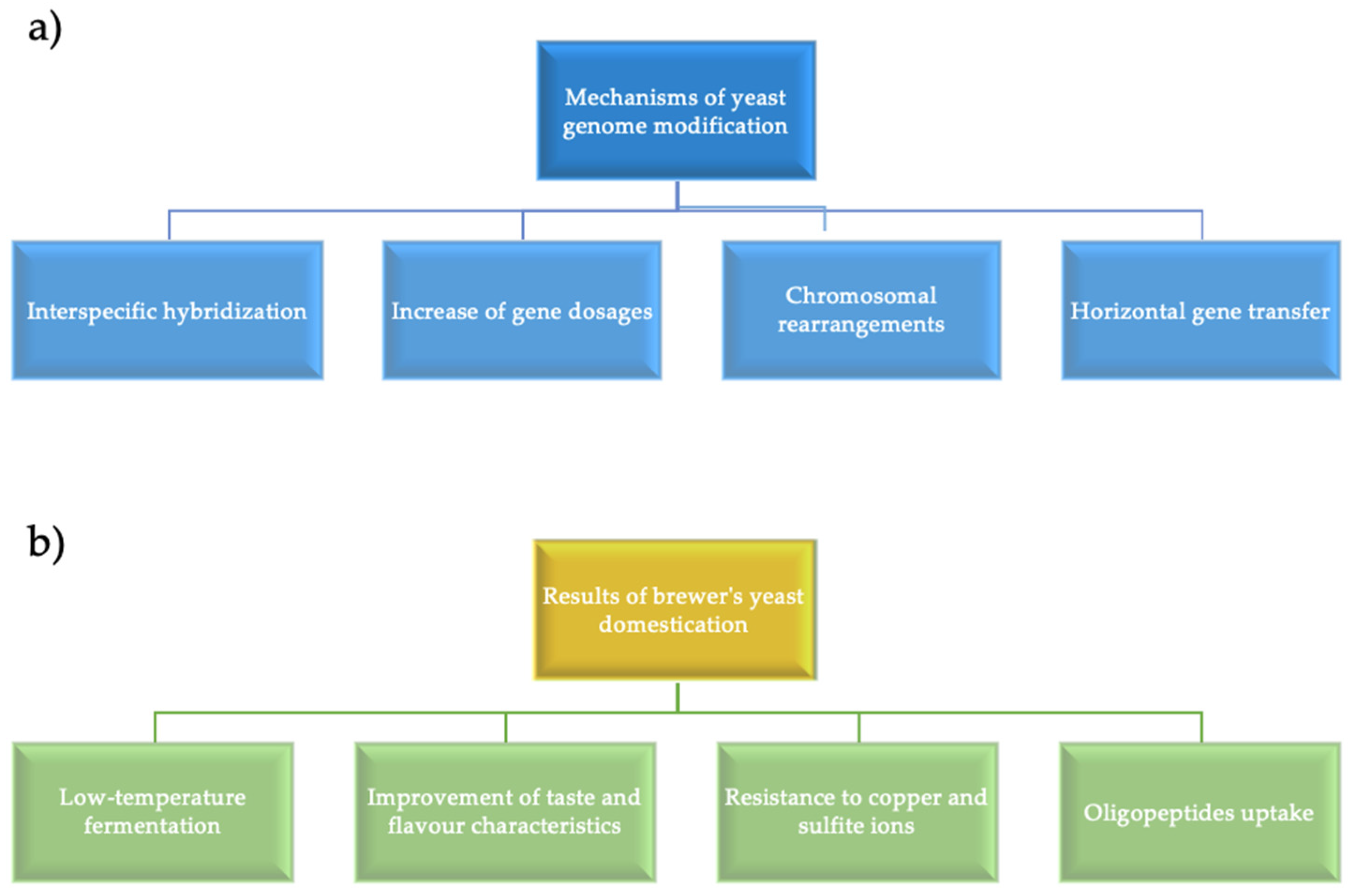 Bioengineering 07 00147 g001 Bioengineering 07 00147 g001