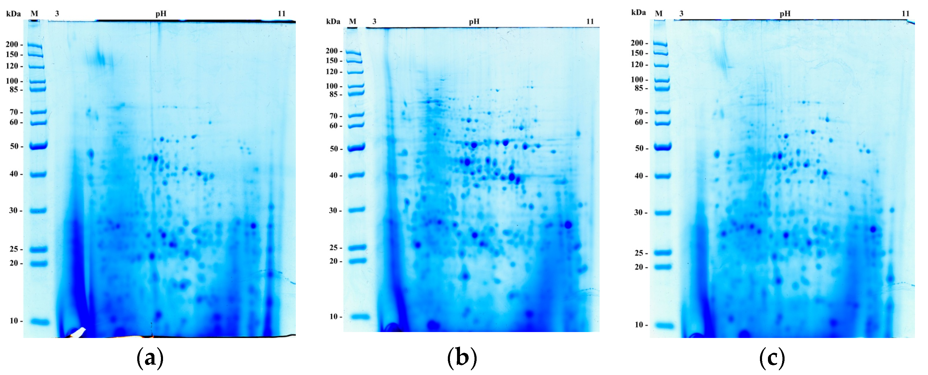 Bioengineering 07 00147 g002 Bioengineering 07 00147 g002