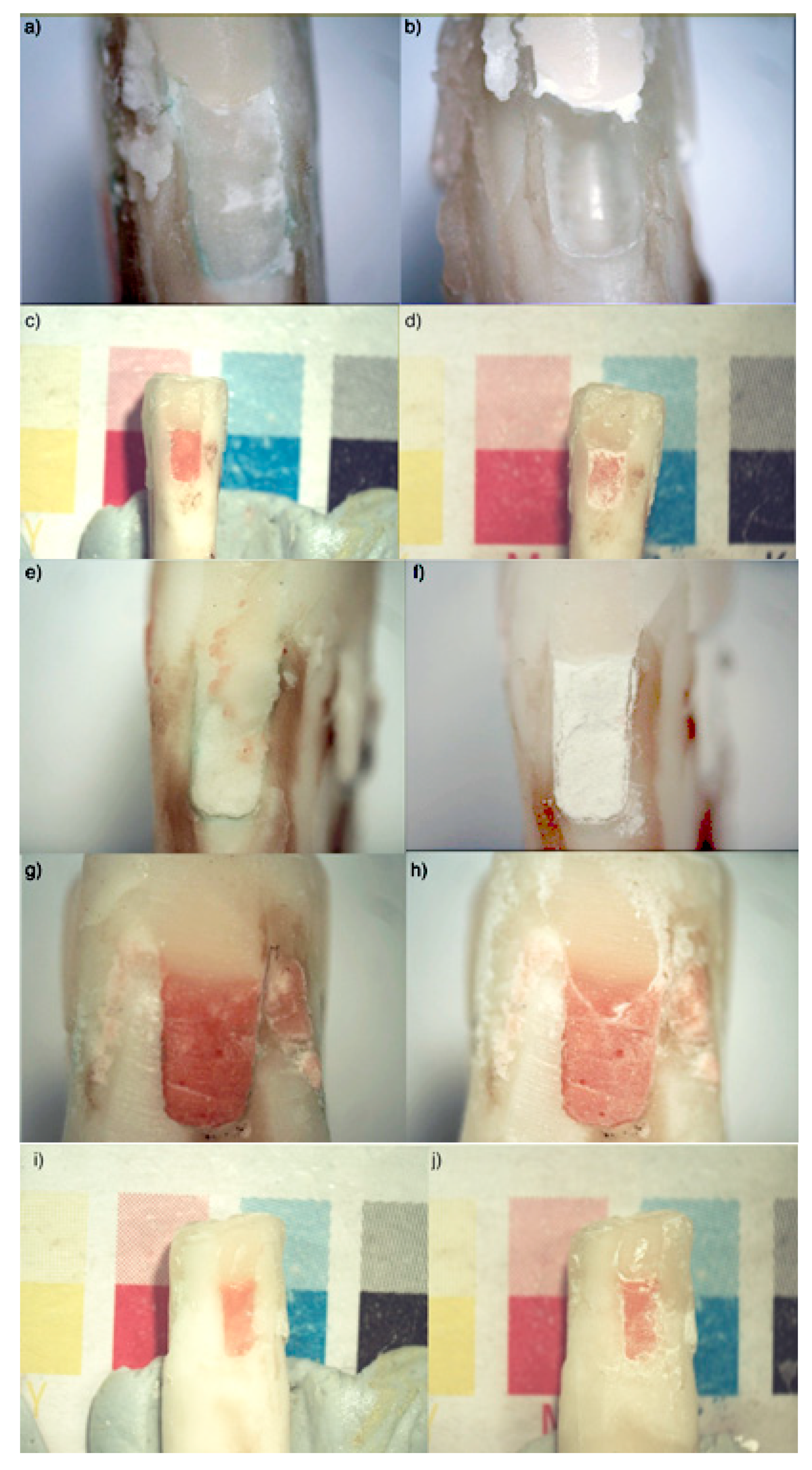 Bioengineering 07 00150 g003