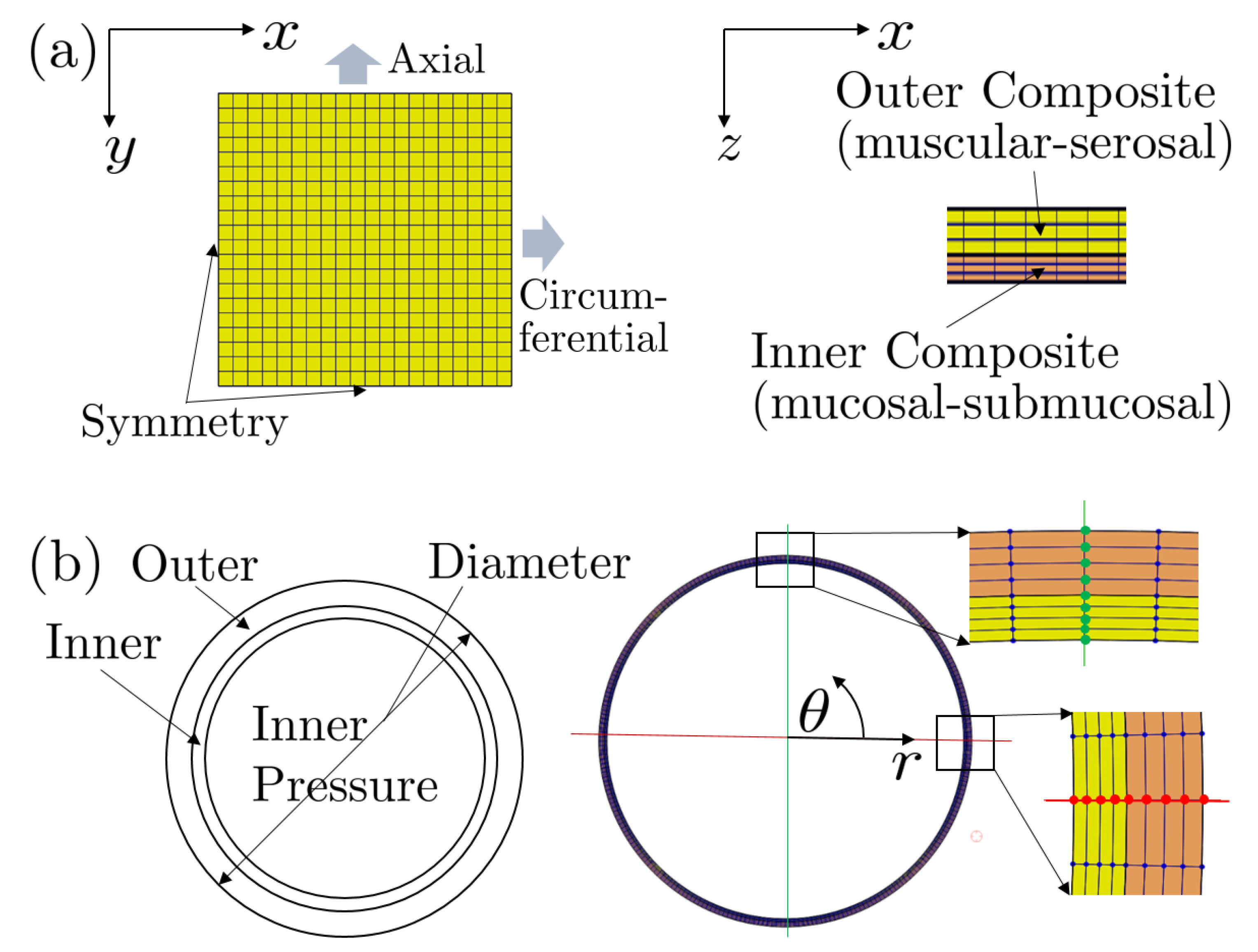 Bioengineering 07 00152 g001
