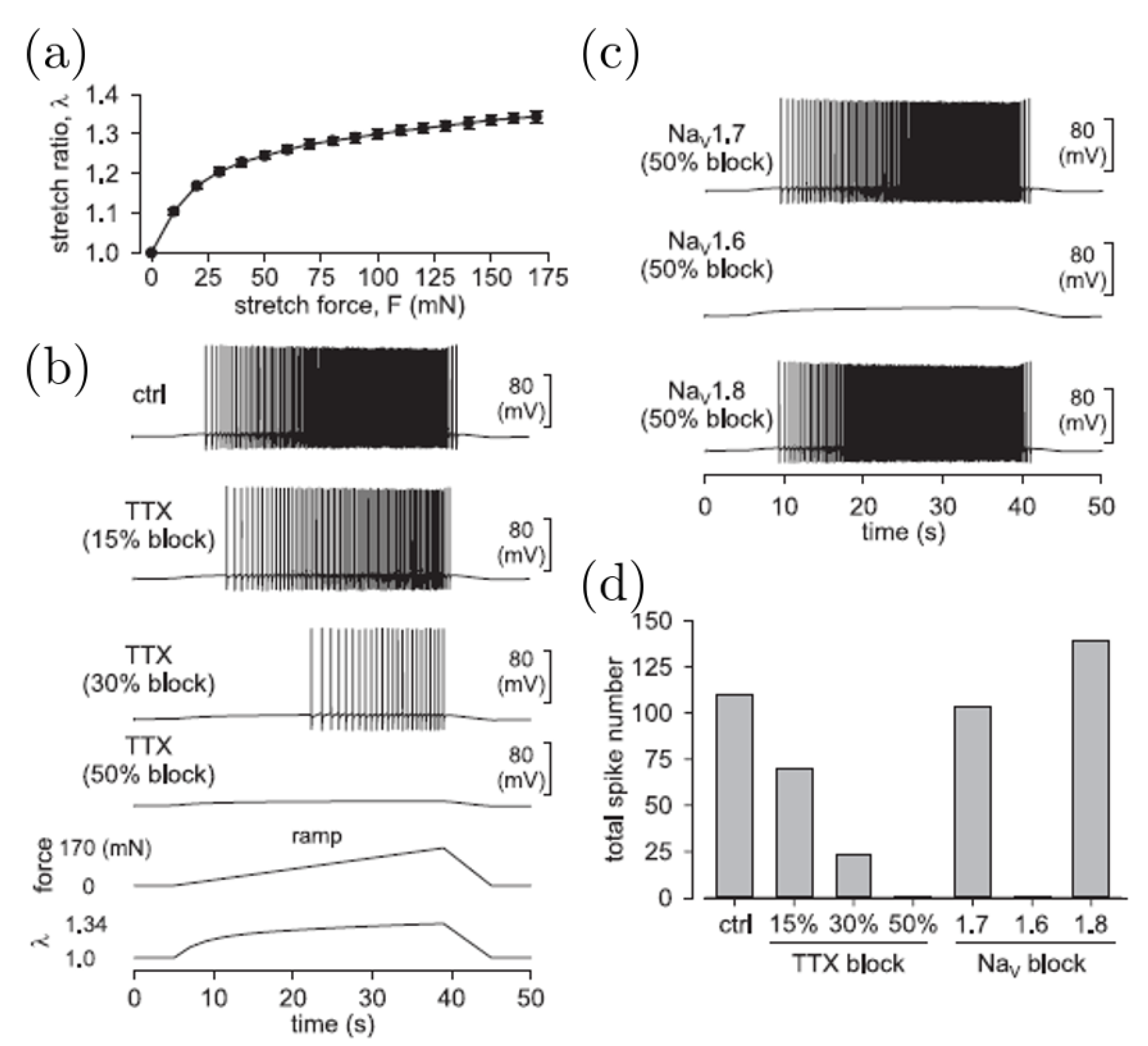 Bioengineering 07 00152 g004