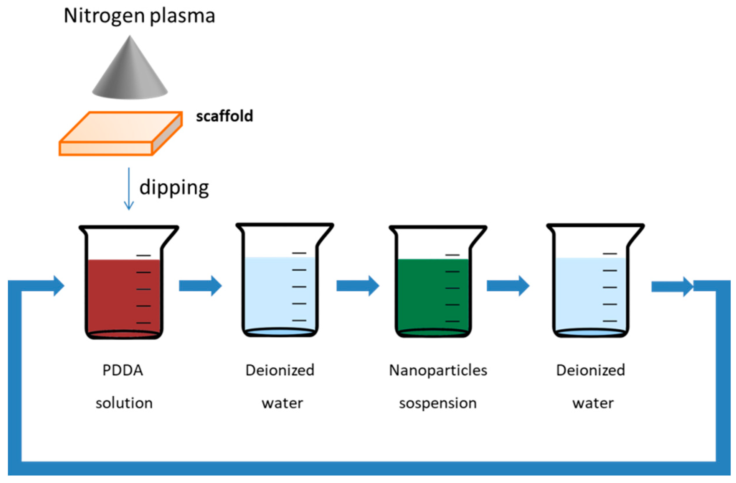 Bioengineering Free Full Text Paramagnetic Functionalization Of Biocompatible Scaffolds For Biomedical Applications A Perspective Html