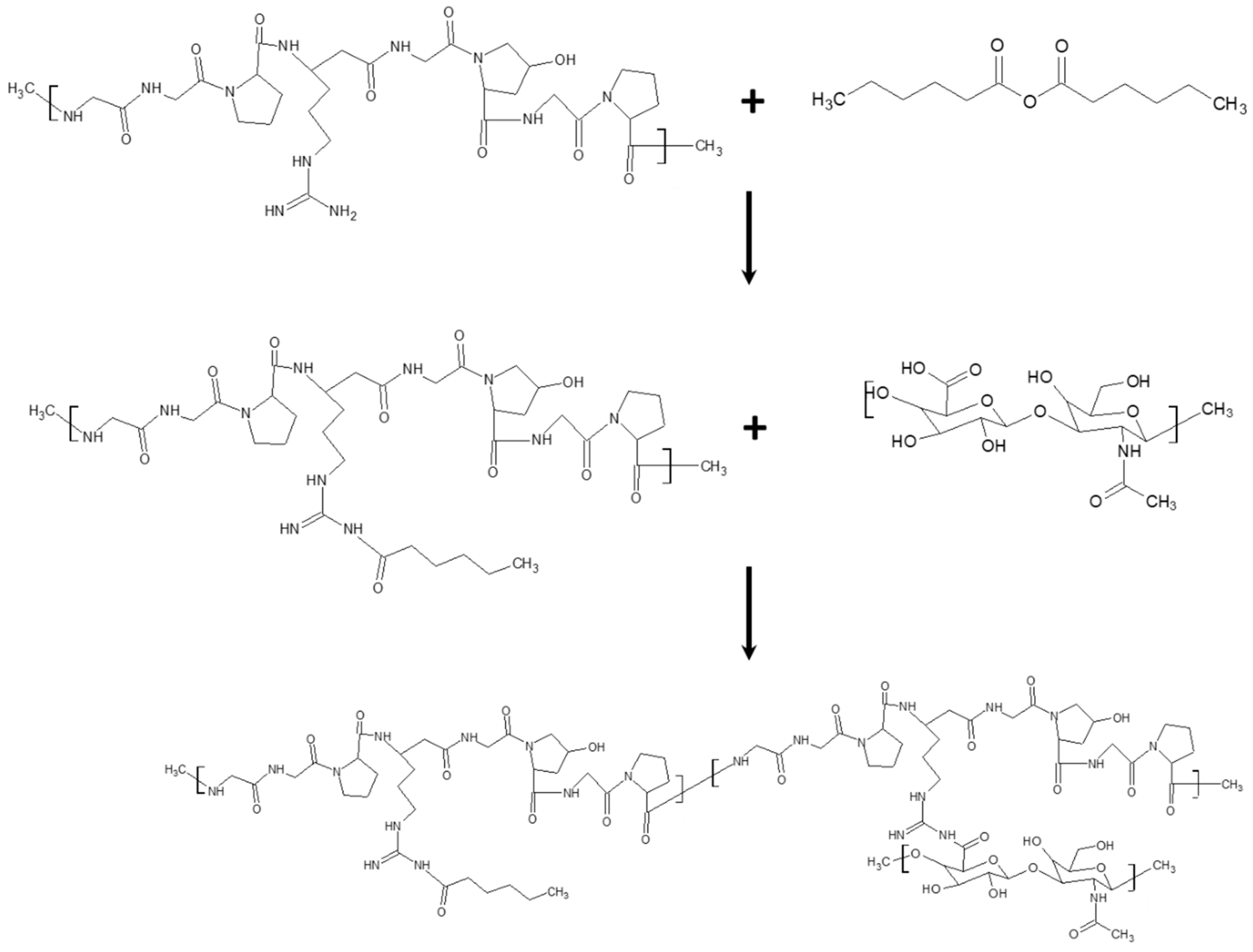 Bioengineering 07 00153 g004