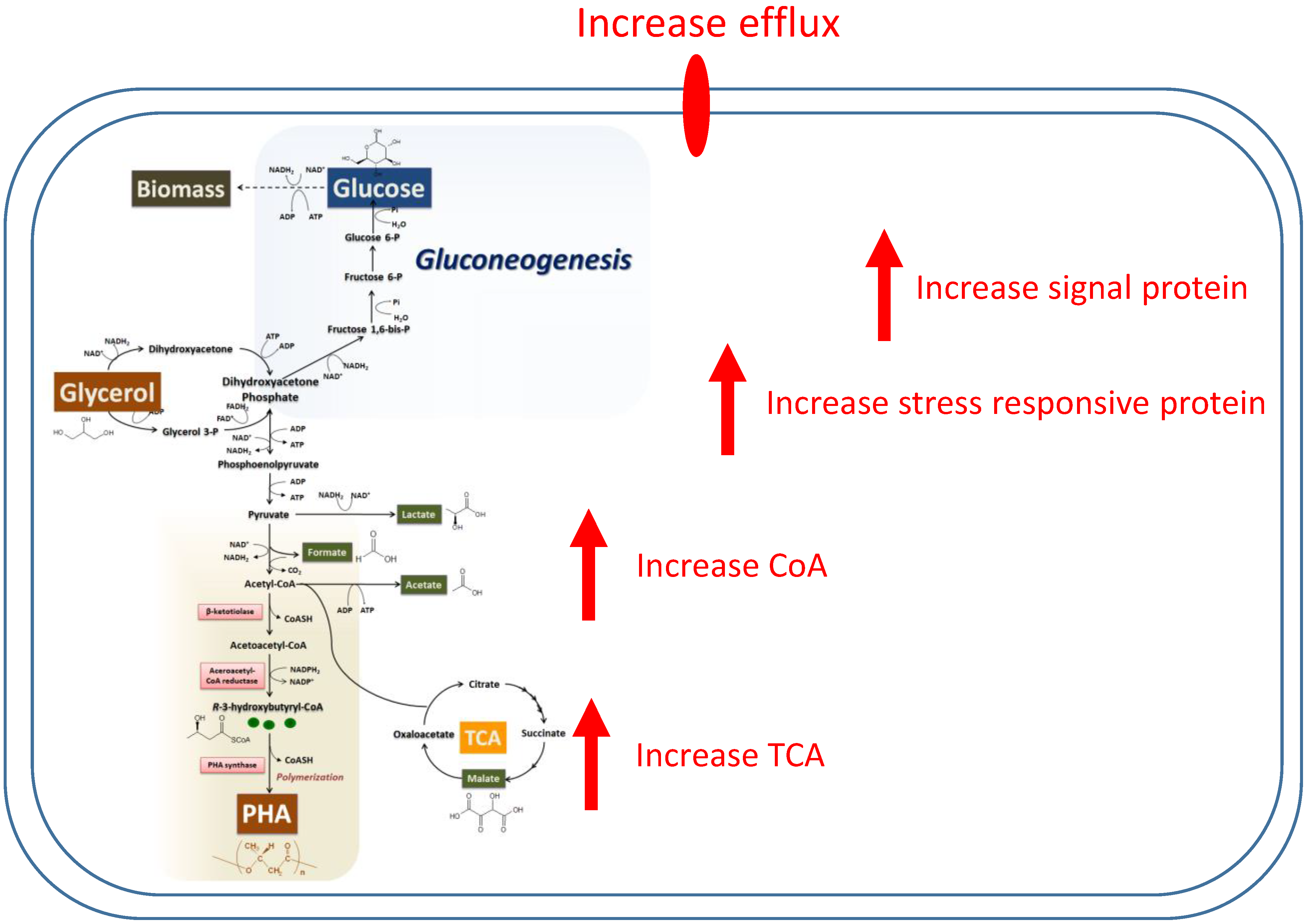 Bioengineering 07 00154 g006 Bioengineering 07 00154 g006
