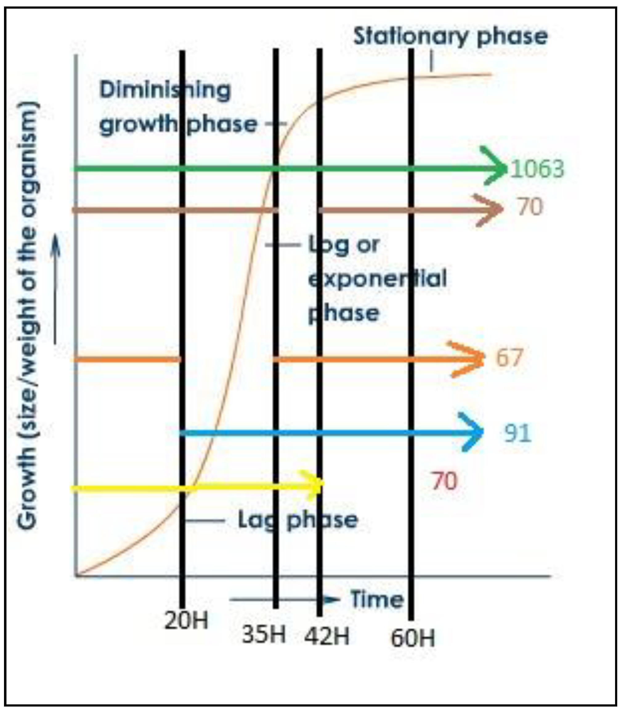 Bioengineering 07 00154 g008 Bioengineering 07 00154 g008