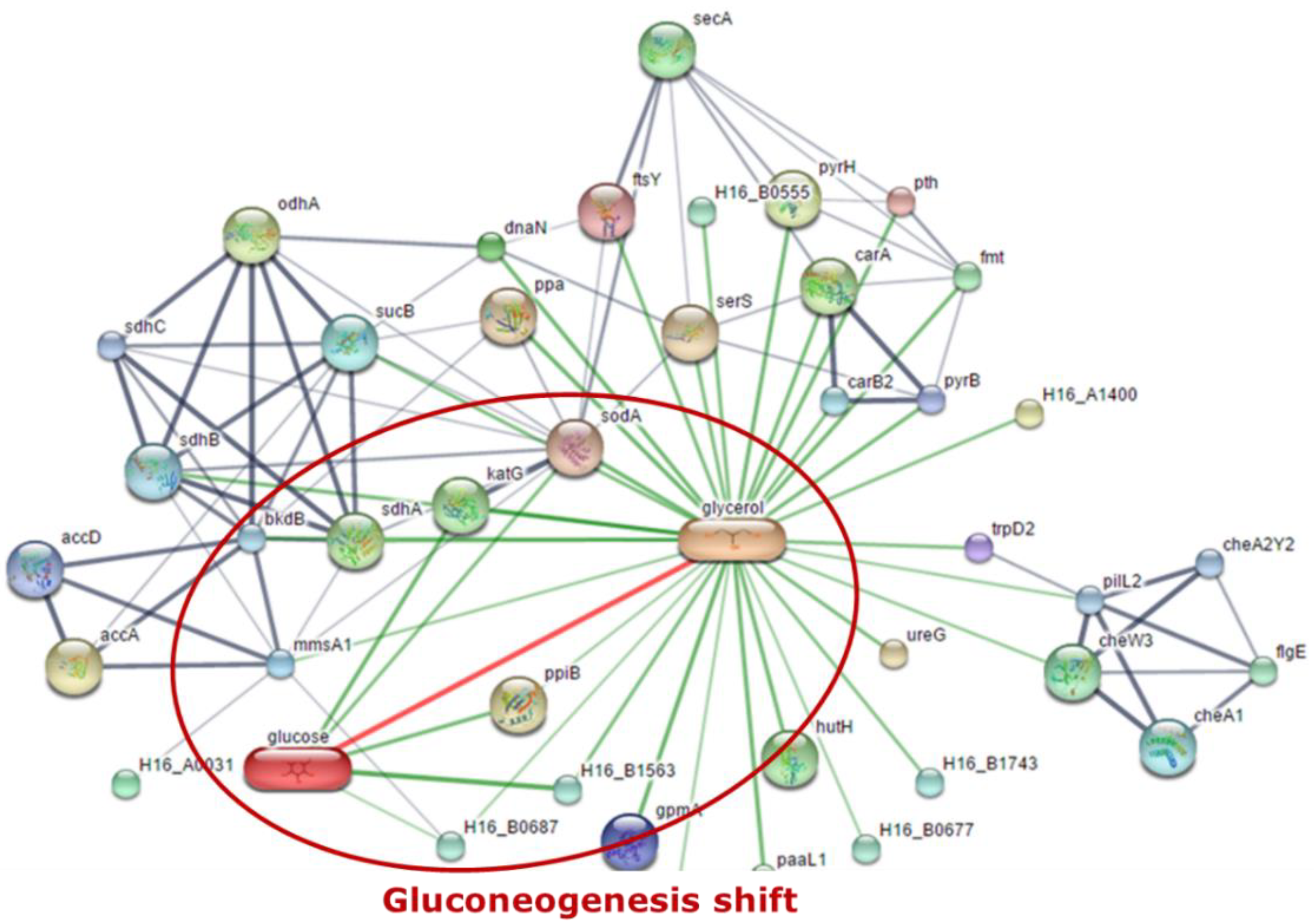 Bioengineering 07 00154 g009 Bioengineering 07 00154 g009
