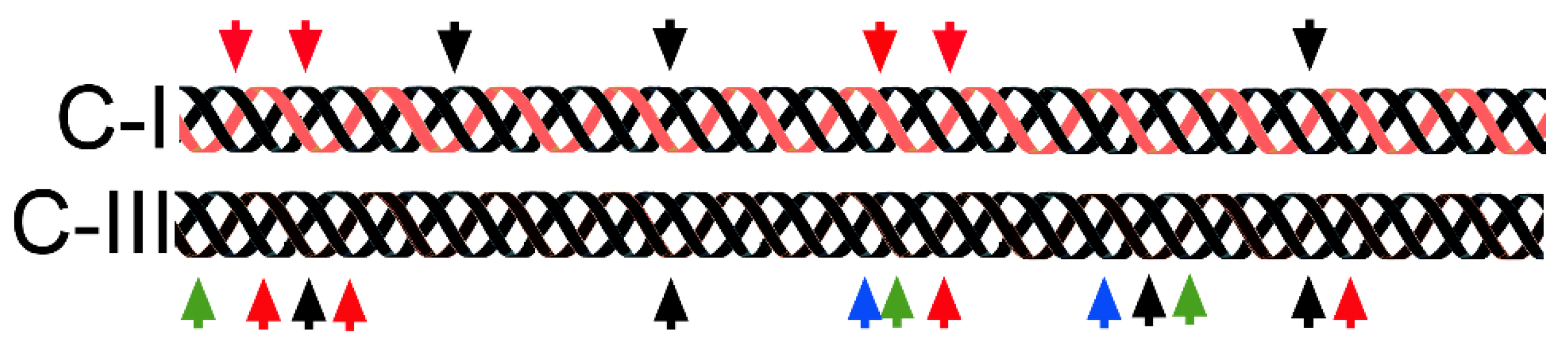 Bioengineering 07 00155 g002 Bioengineering 07 00155 g002