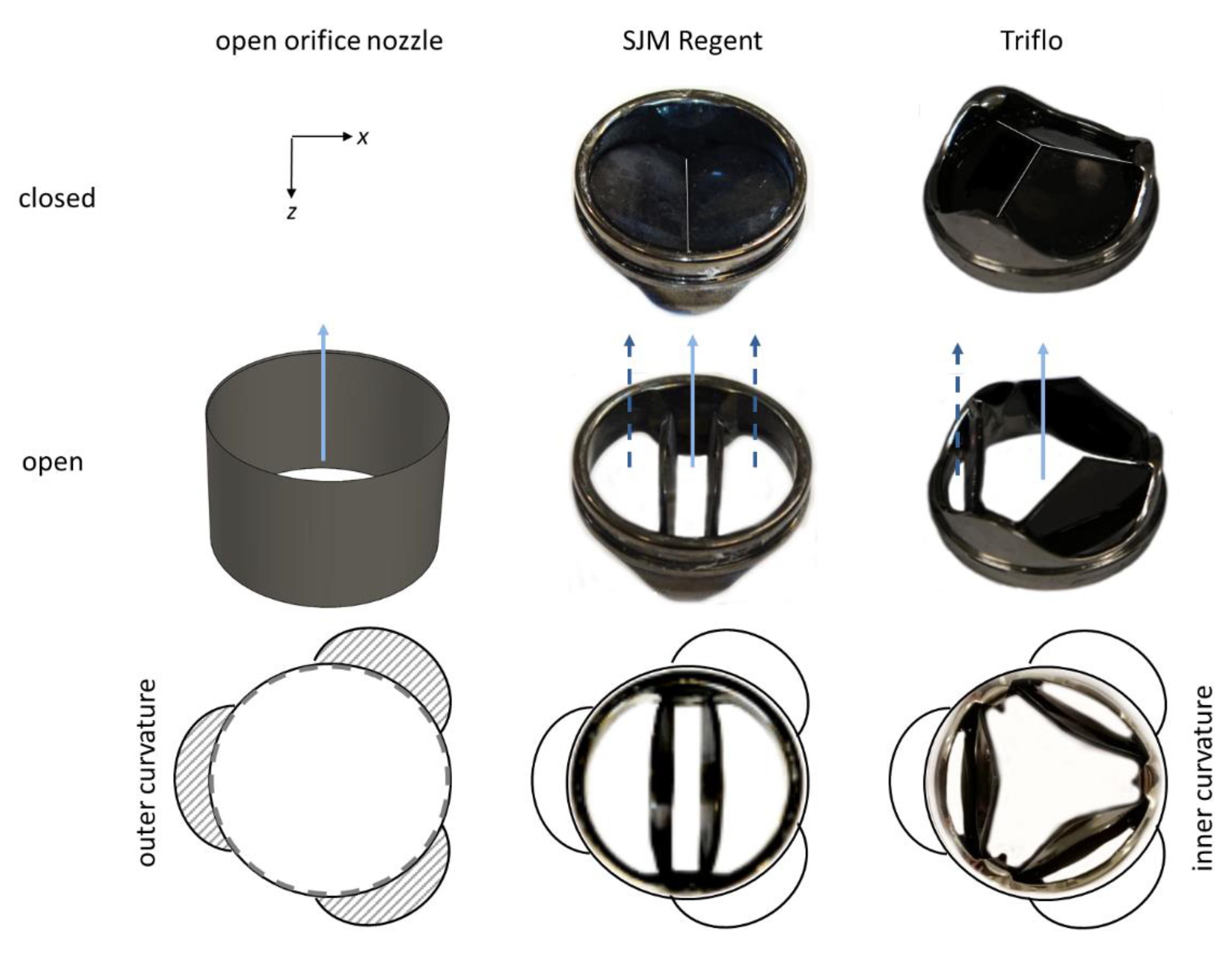 Bioengineering 07 00158 g003