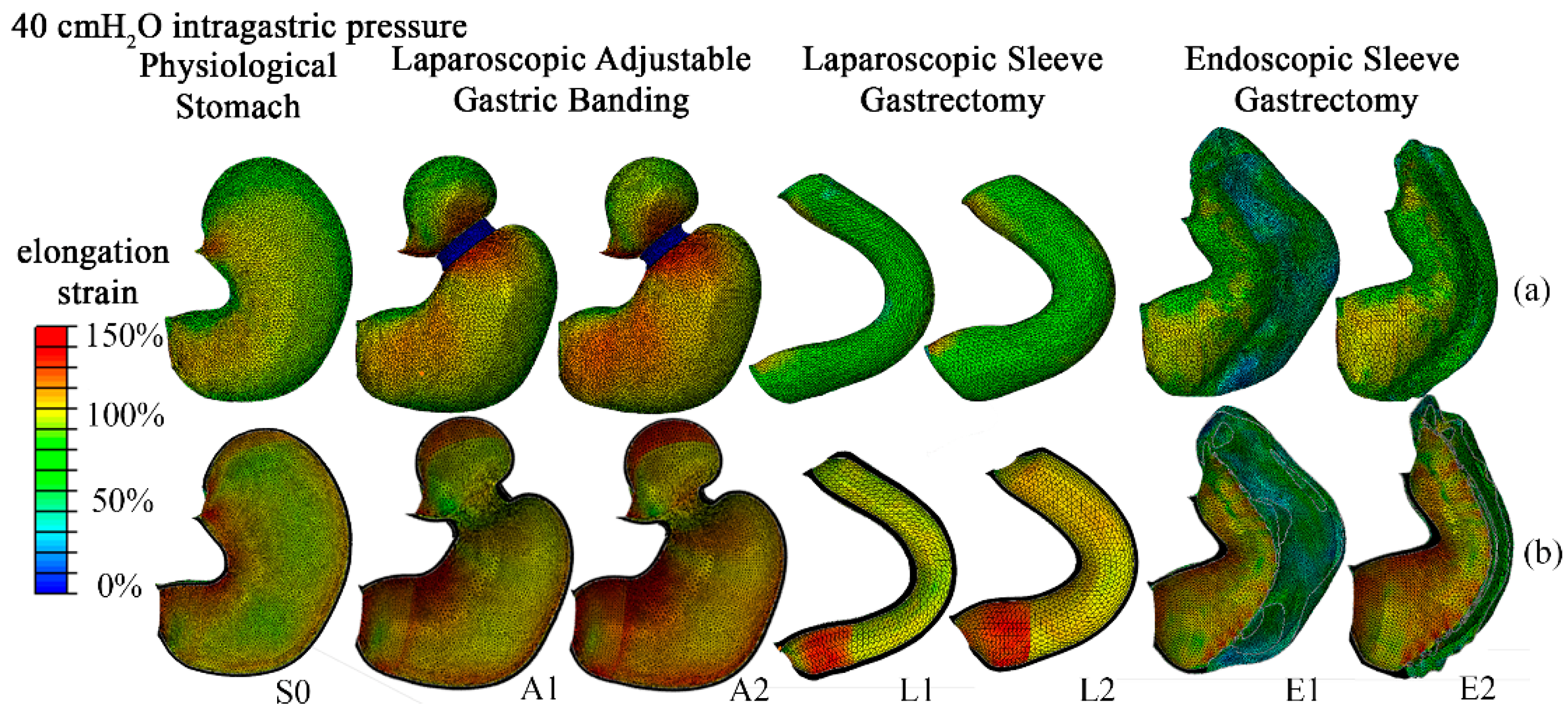 Bioengineering 07 00159 g006