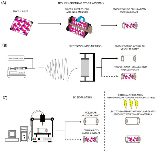 Bioengineering 07 00160 g003 550