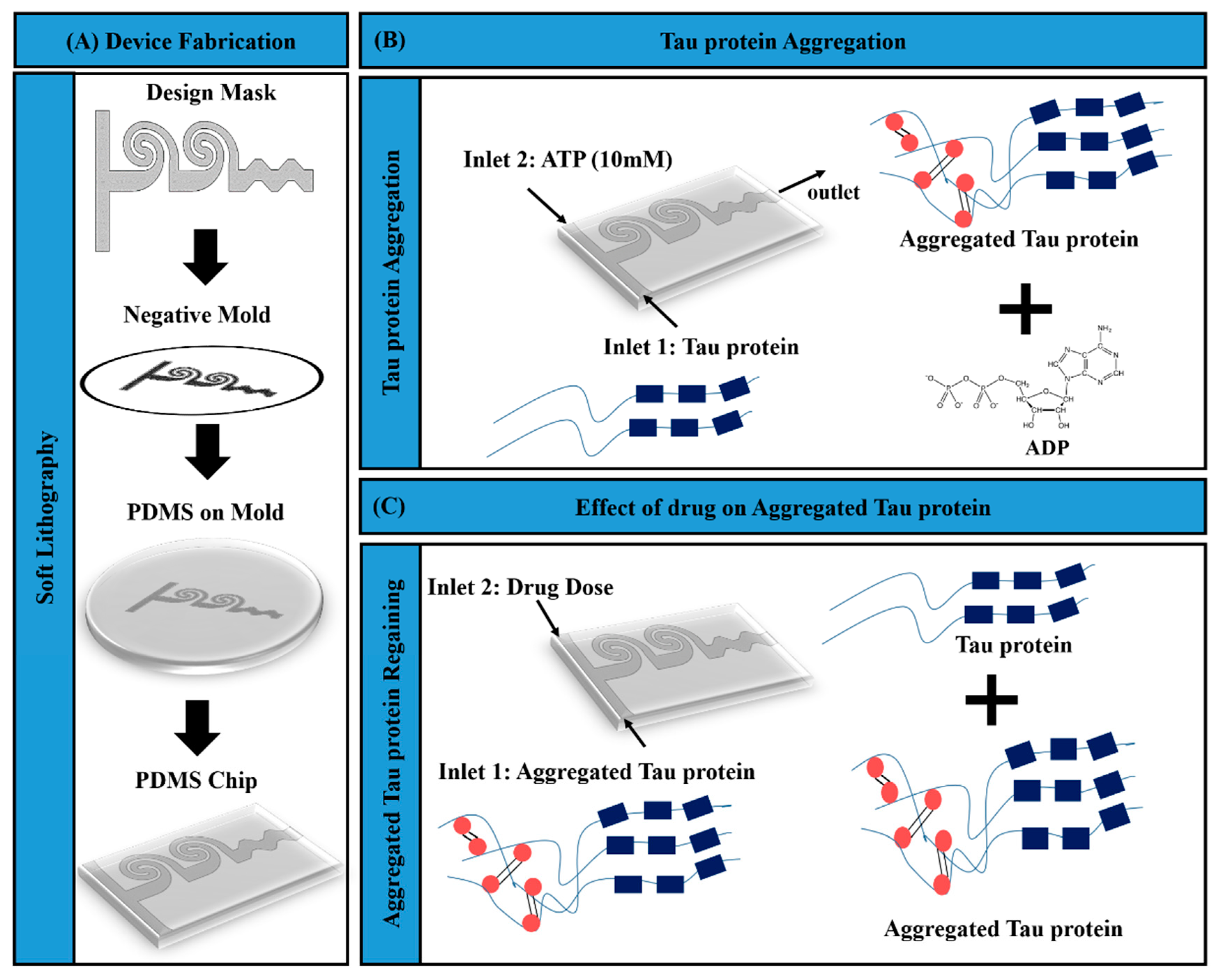 Bioengineering 07 00162 g001