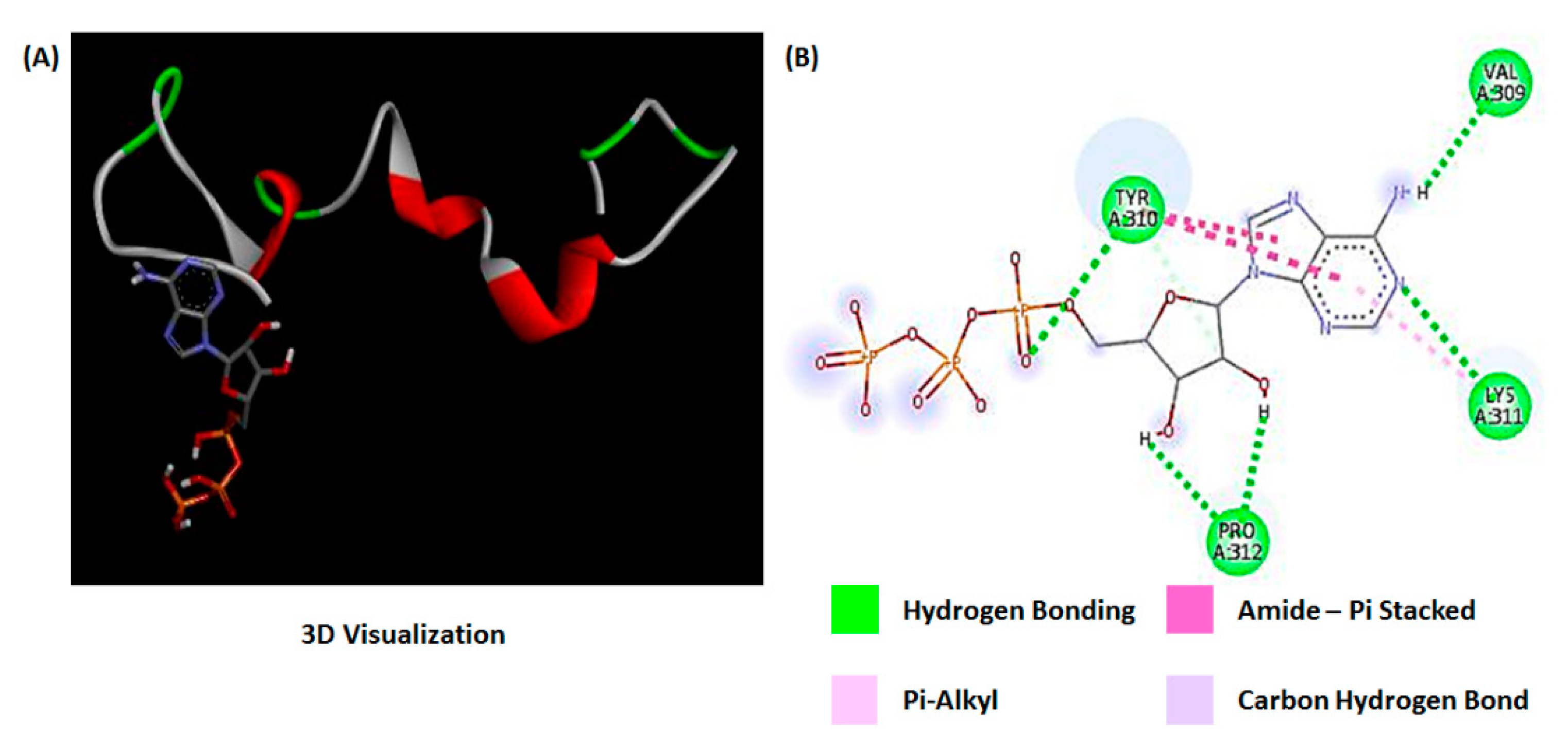 Bioengineering 07 00162 g004