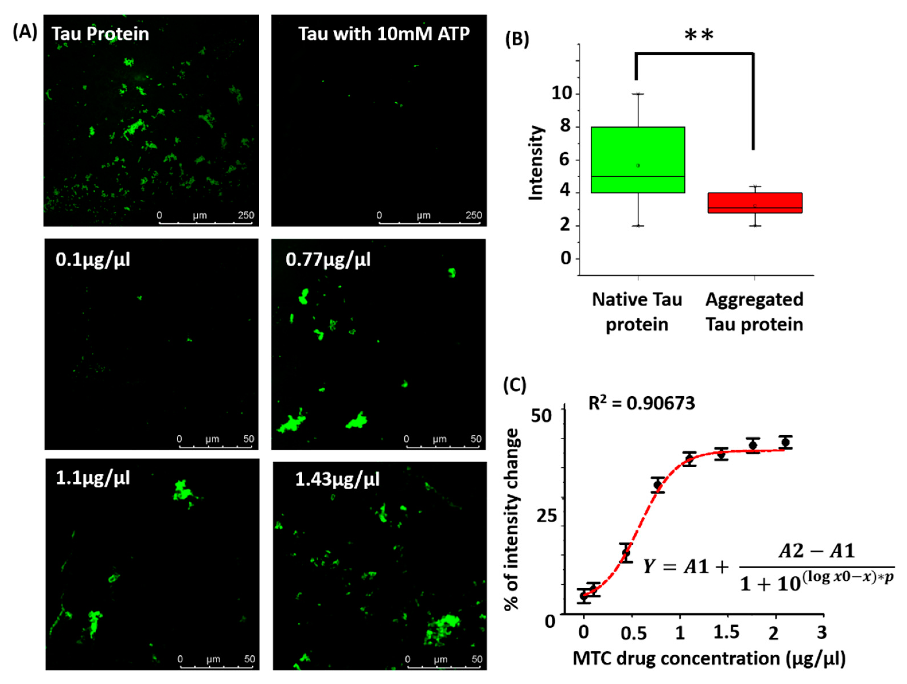 Bioengineering 07 00162 g005