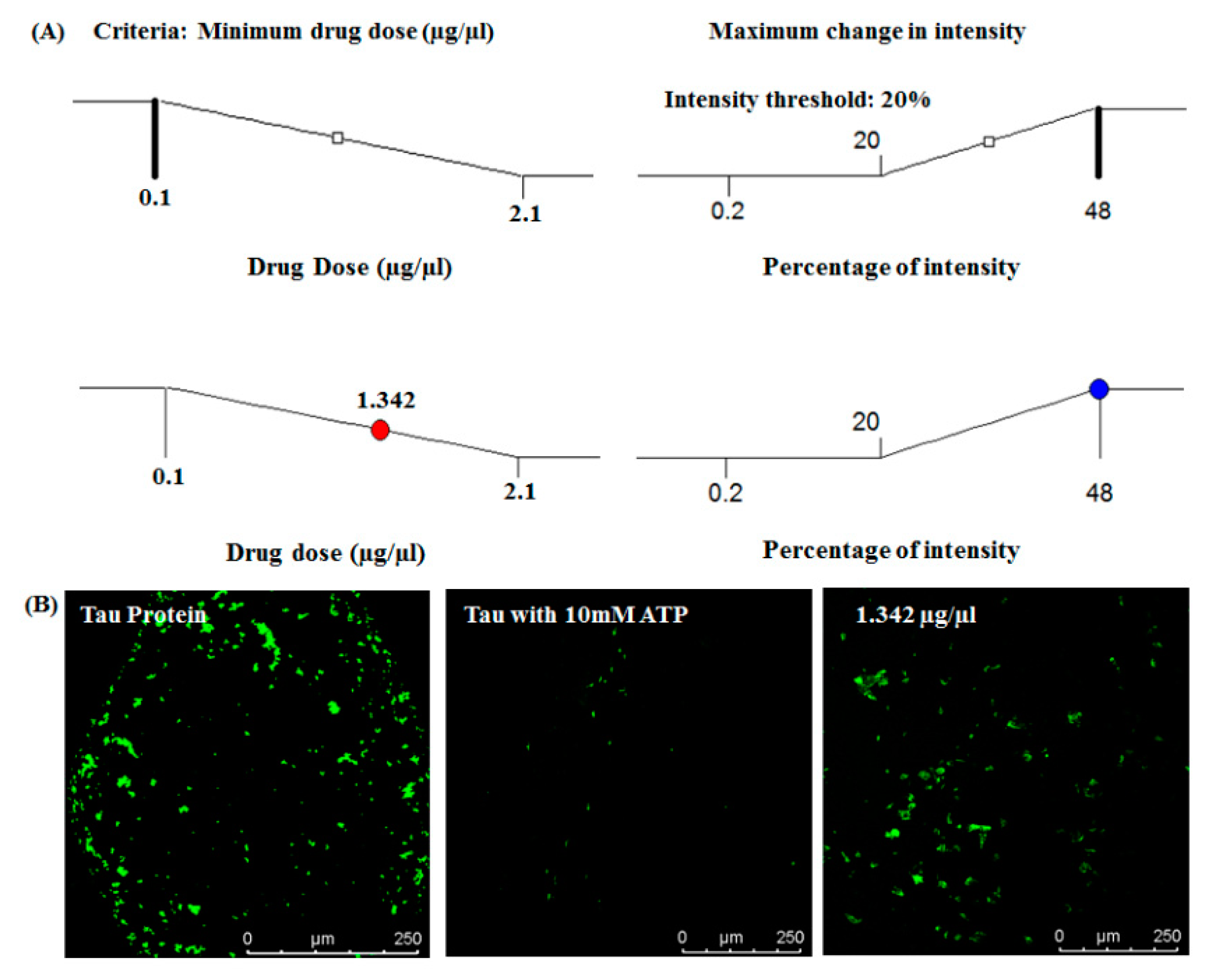 Bioengineering 07 00162 g006