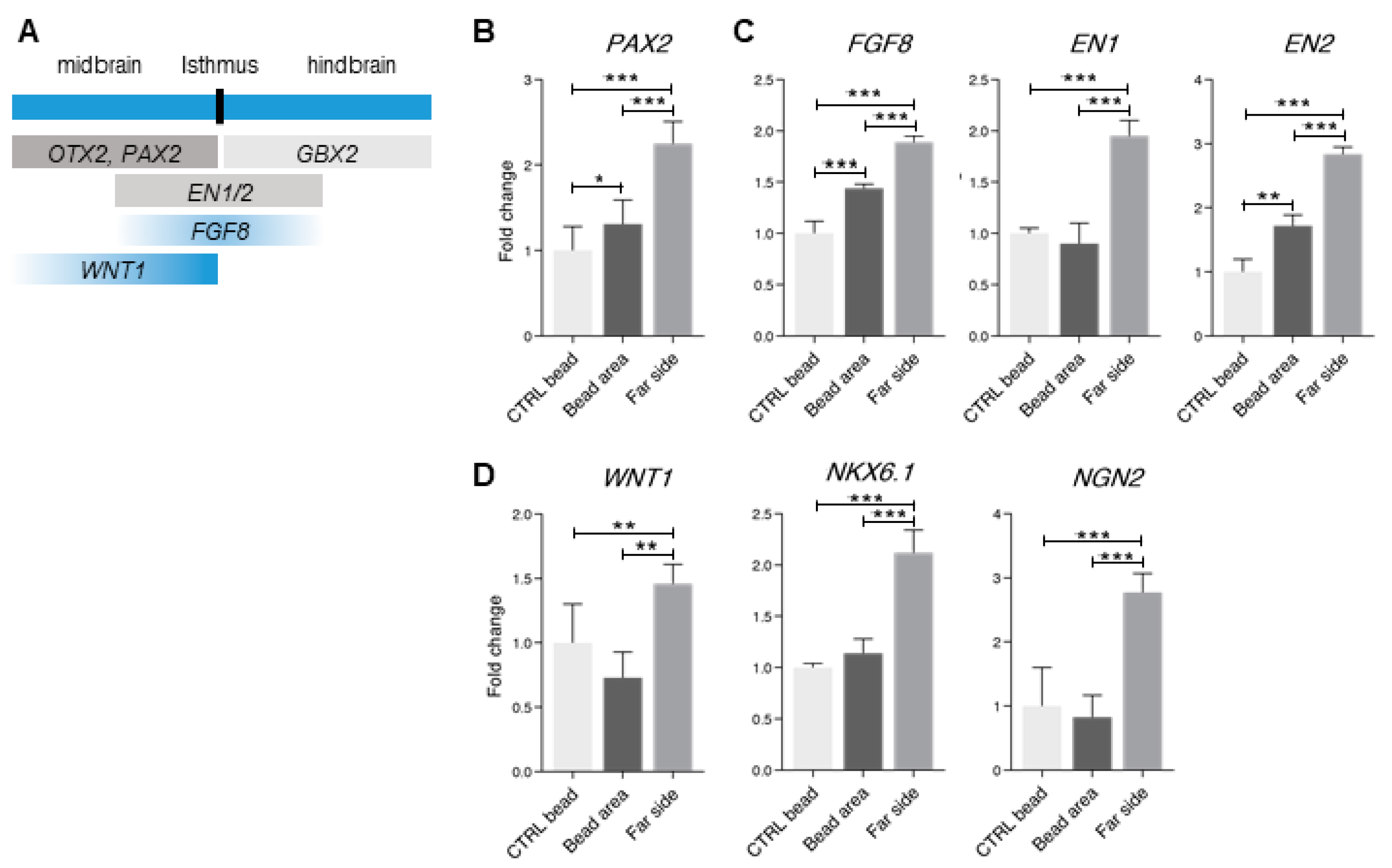 Bioengineering 07 00164 g005 Bioengineering 07 00164 g005