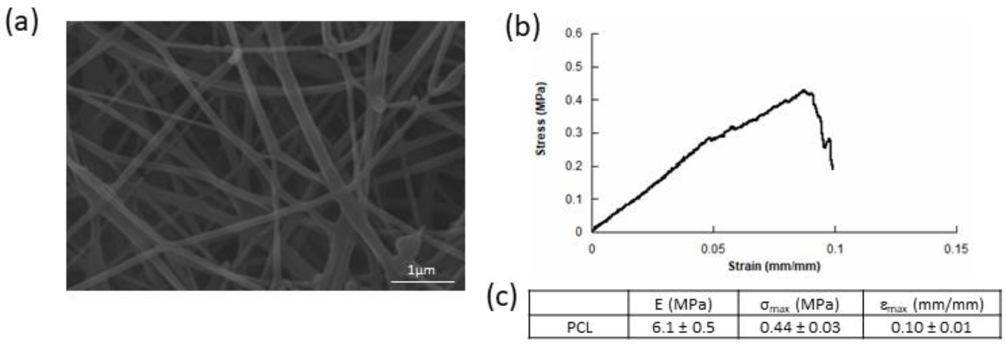 Bioengineering 08 00001 g002
