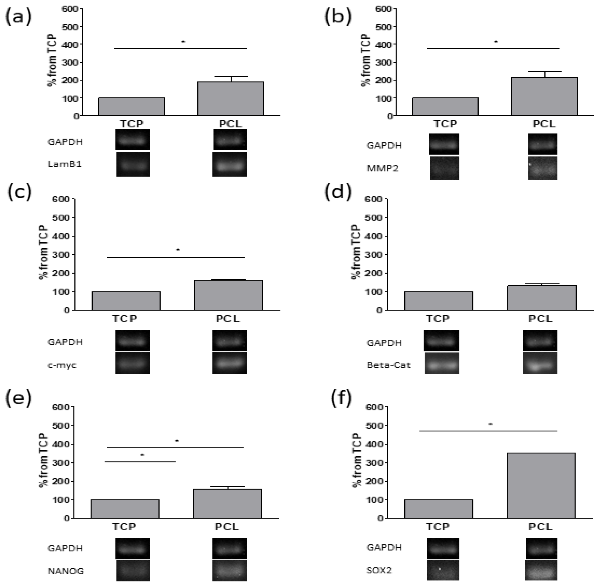 Bioengineering 08 00001 g005