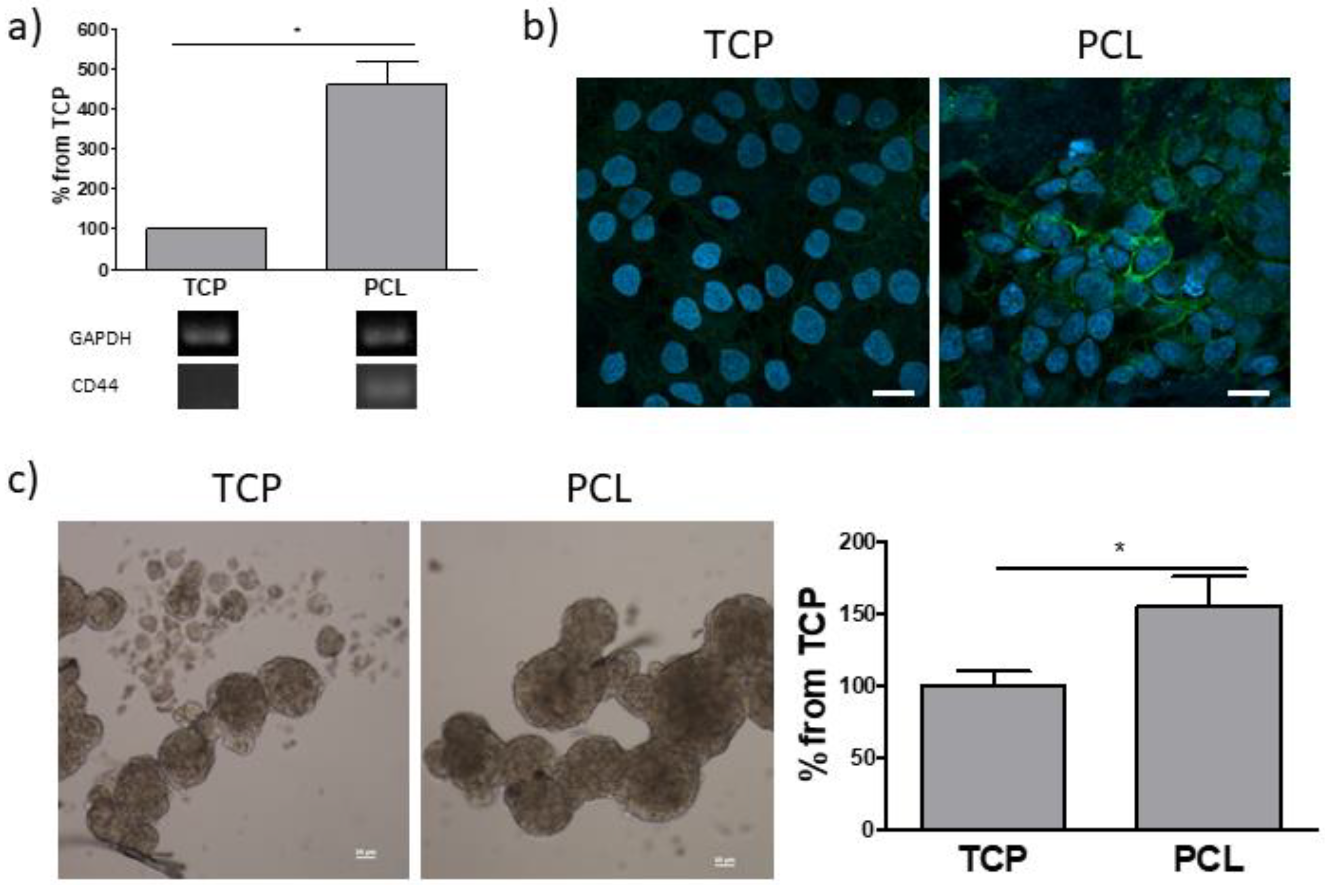 Bioengineering 08 00001 g006