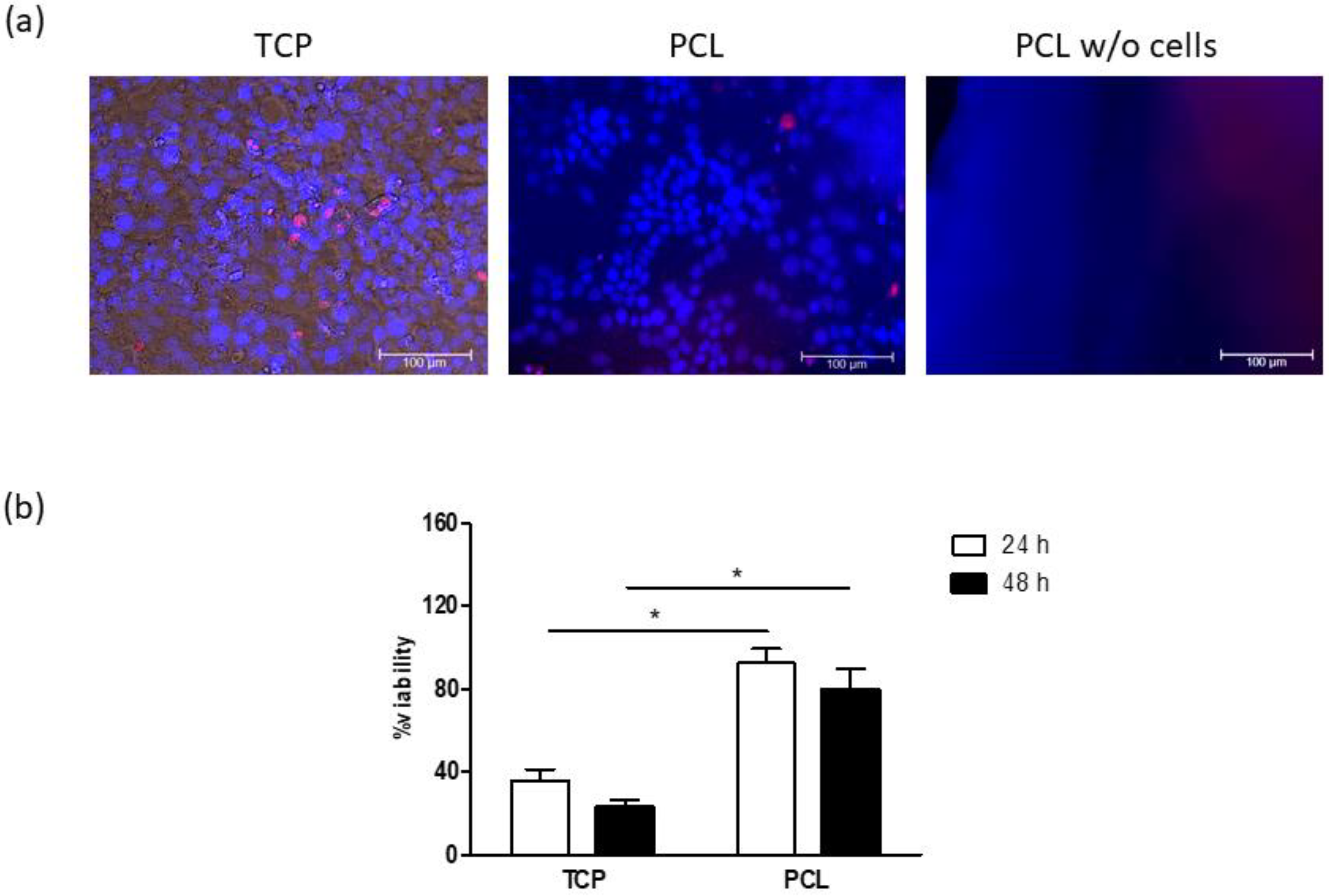 Bioengineering 08 00001 g007