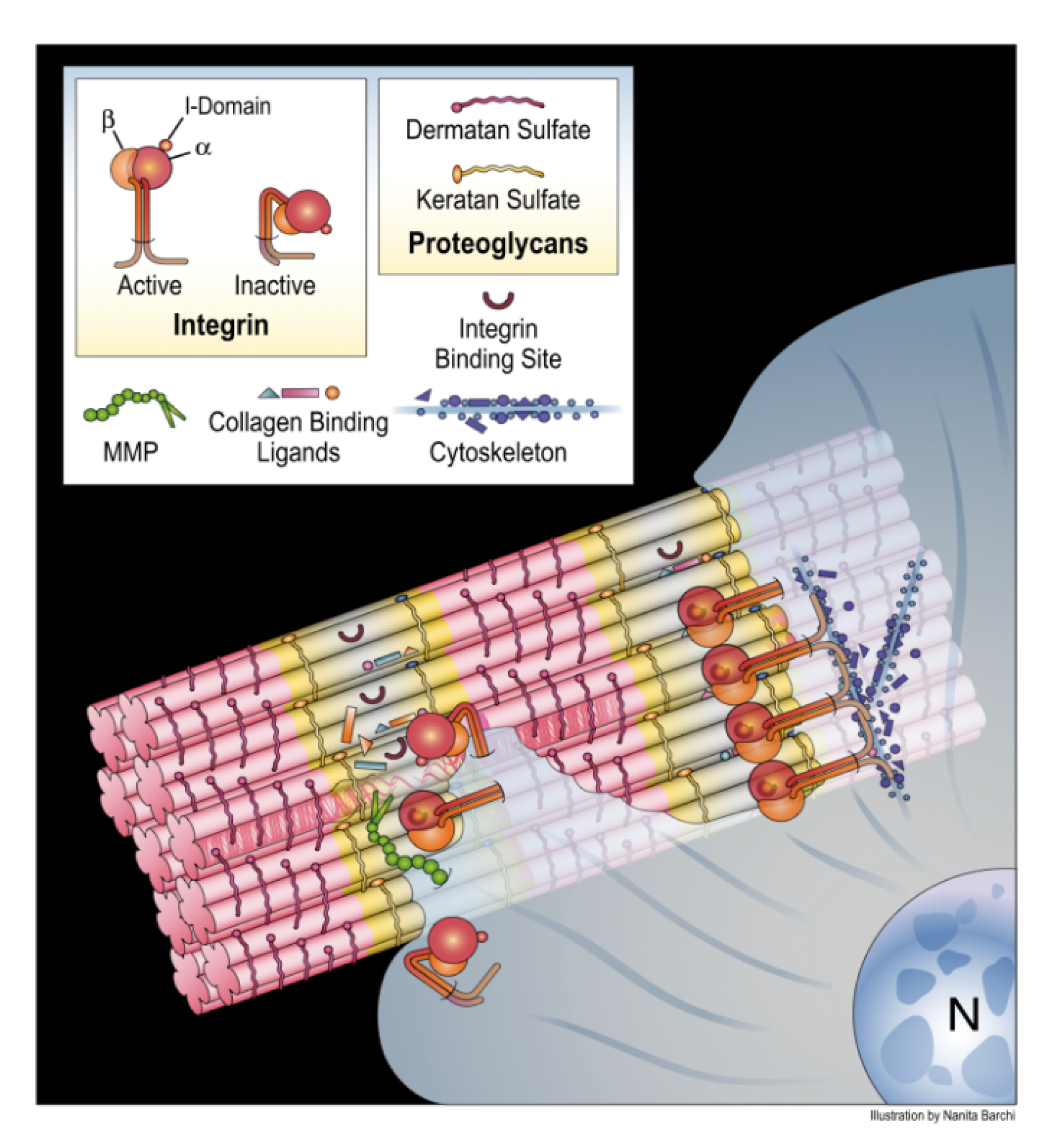 Bioengineering 08 00003 g003