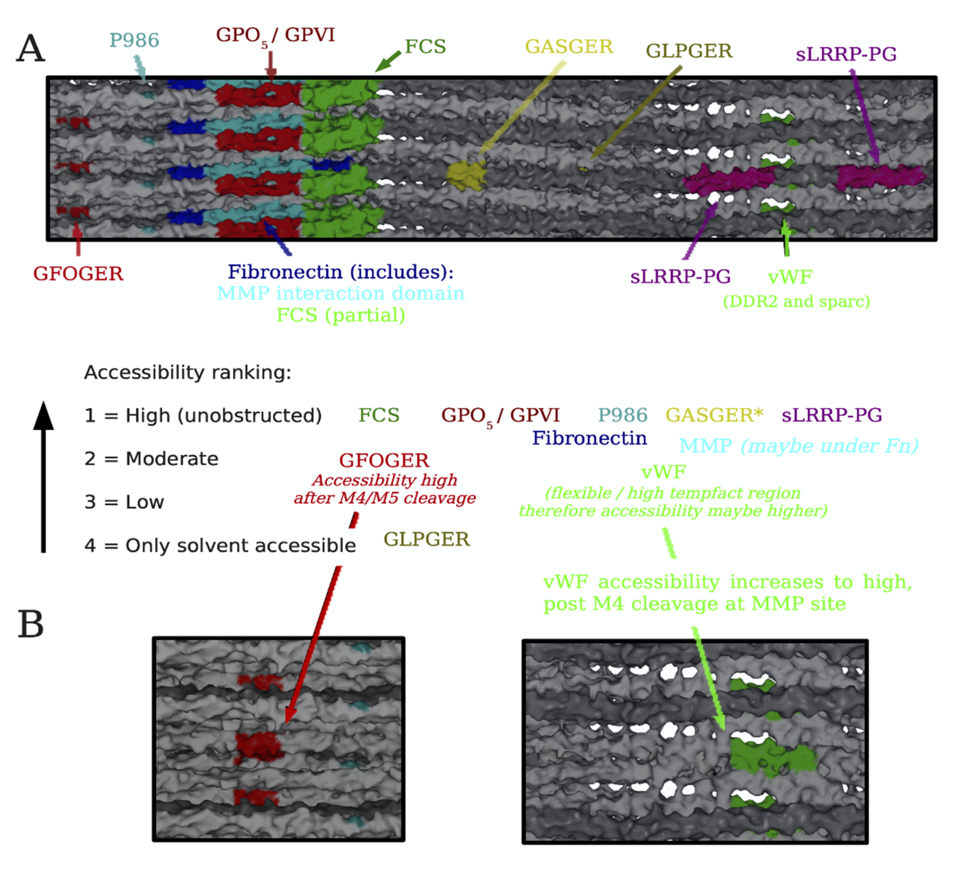 Bioengineering 08 00003 g004