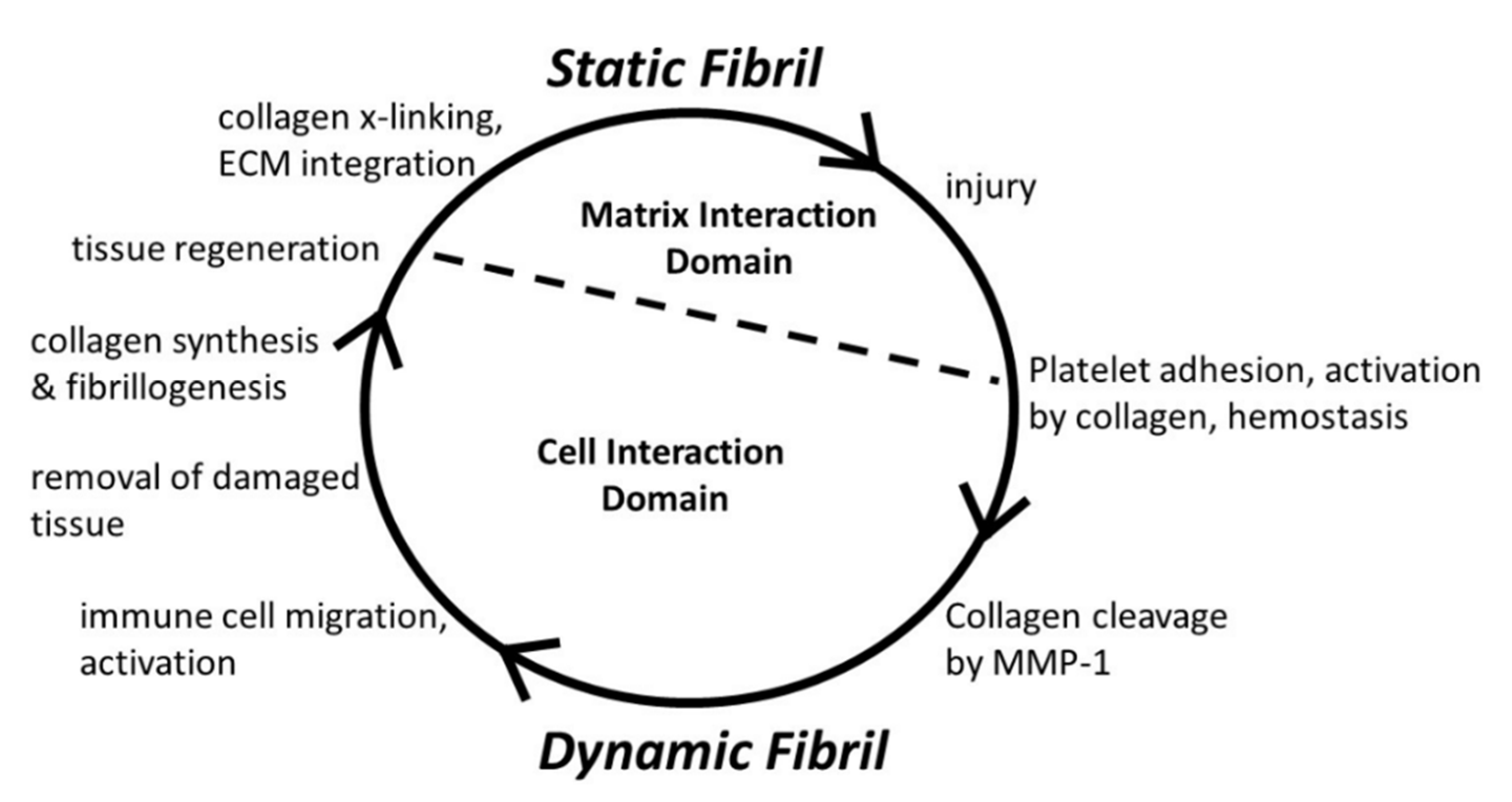 Bioengineering 08 00003 g005