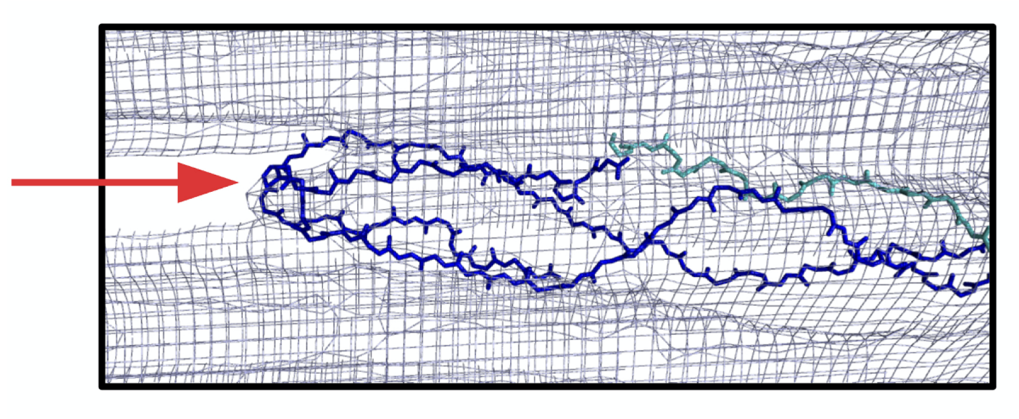 Bioengineering 08 00003 g007