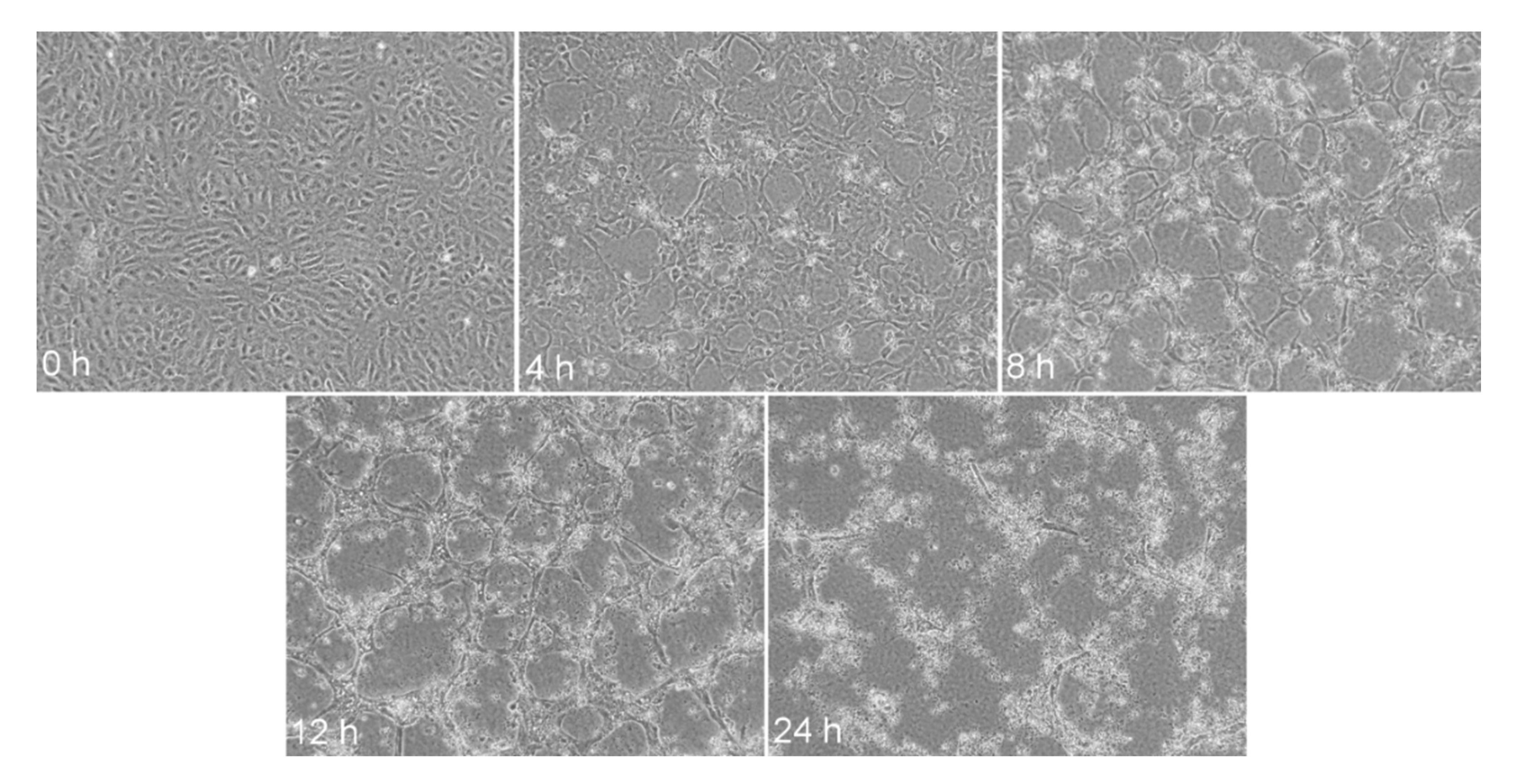 Bioengineering 08 00003 g009