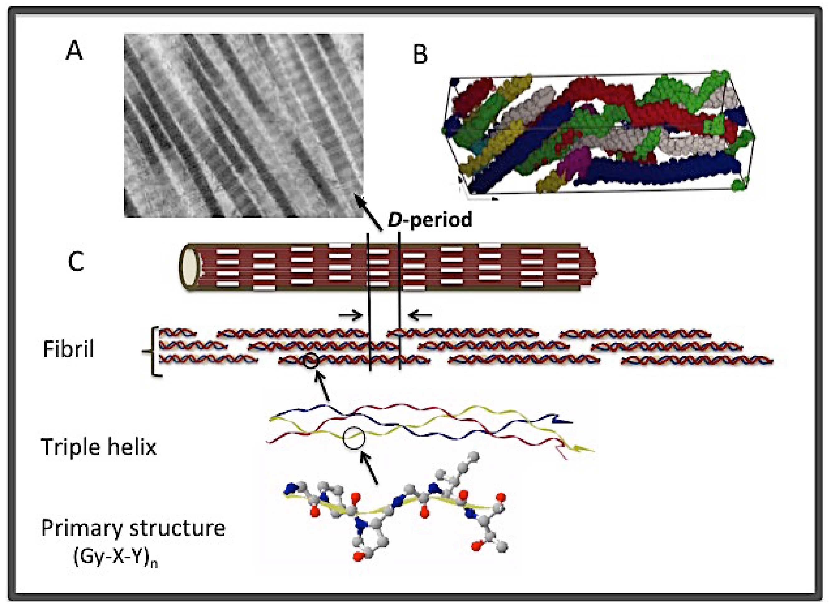 Bioengineering 08 00005 g002